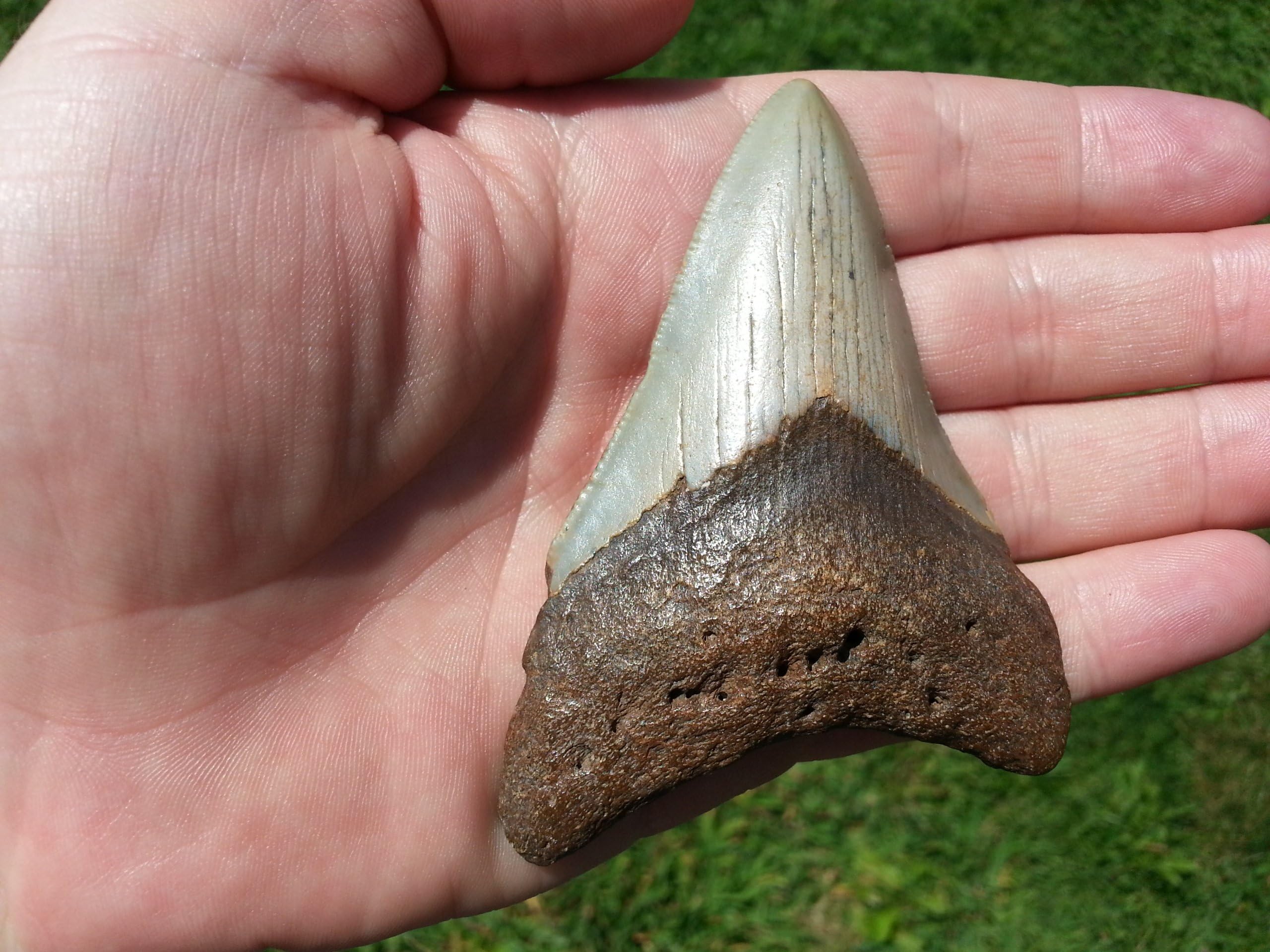 Total Deconstruction Inc.