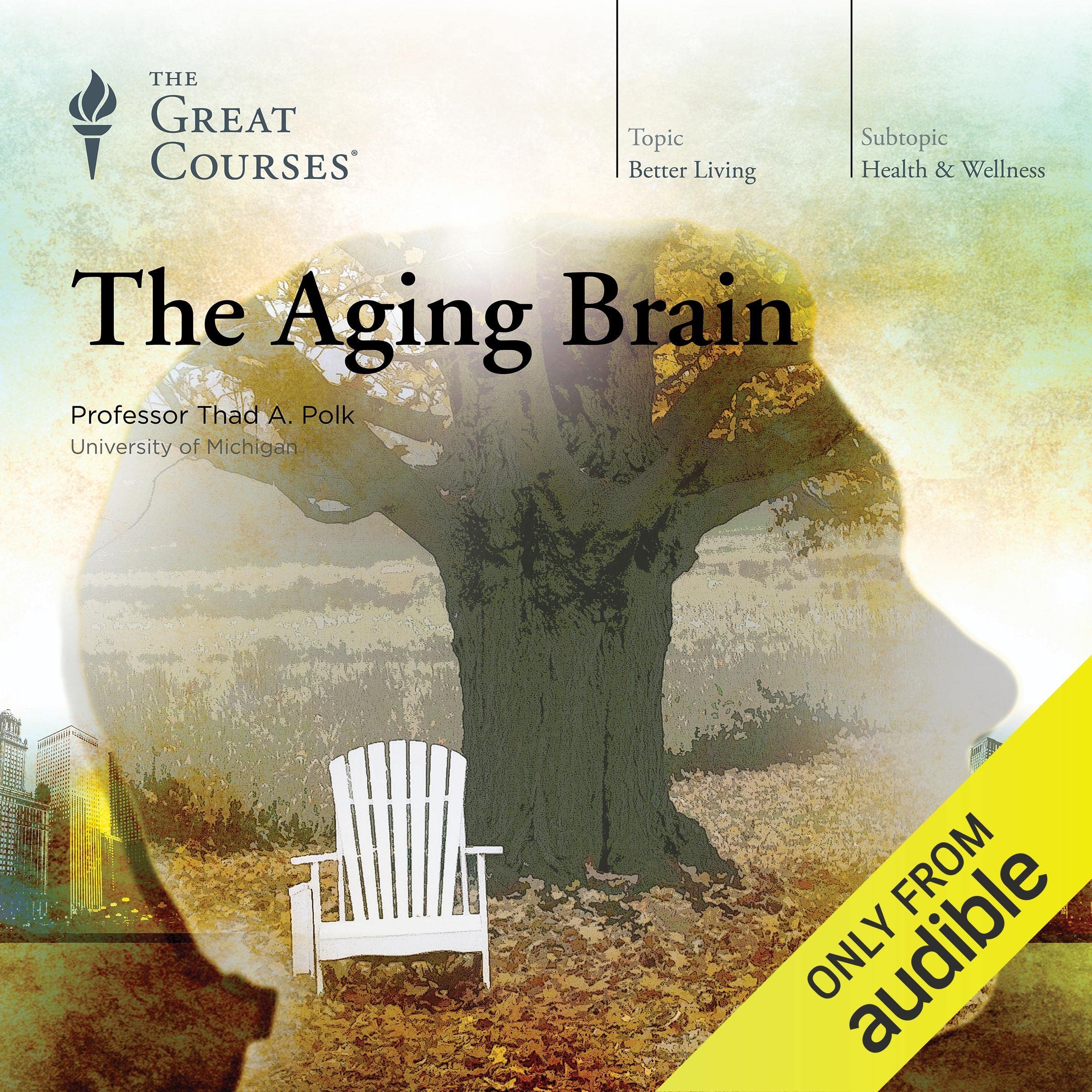 Cover art for The Aging Brain