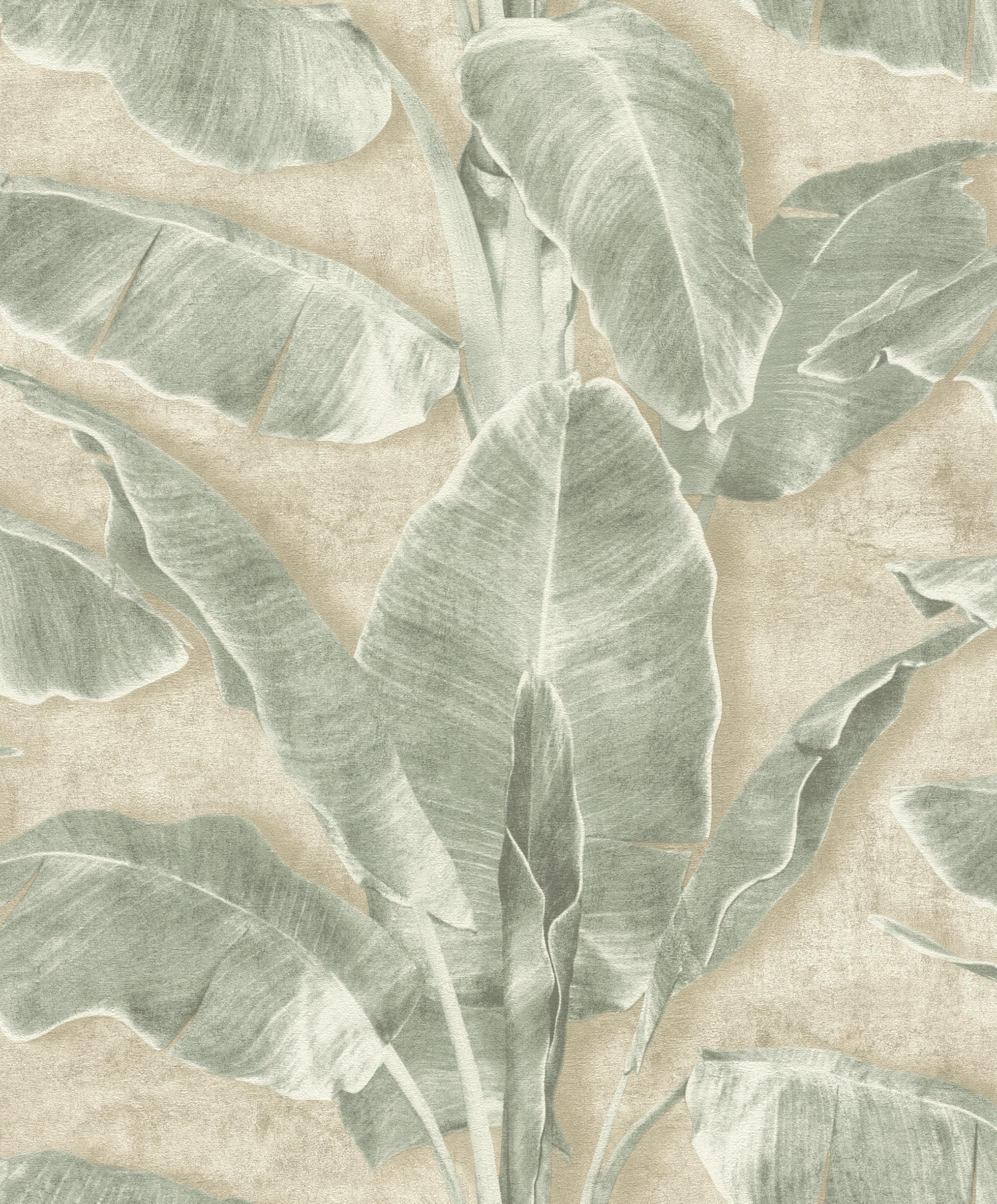 Papier peint autocollant premium feuilles de bananier Rasch Tesa Cuba 371727 beige