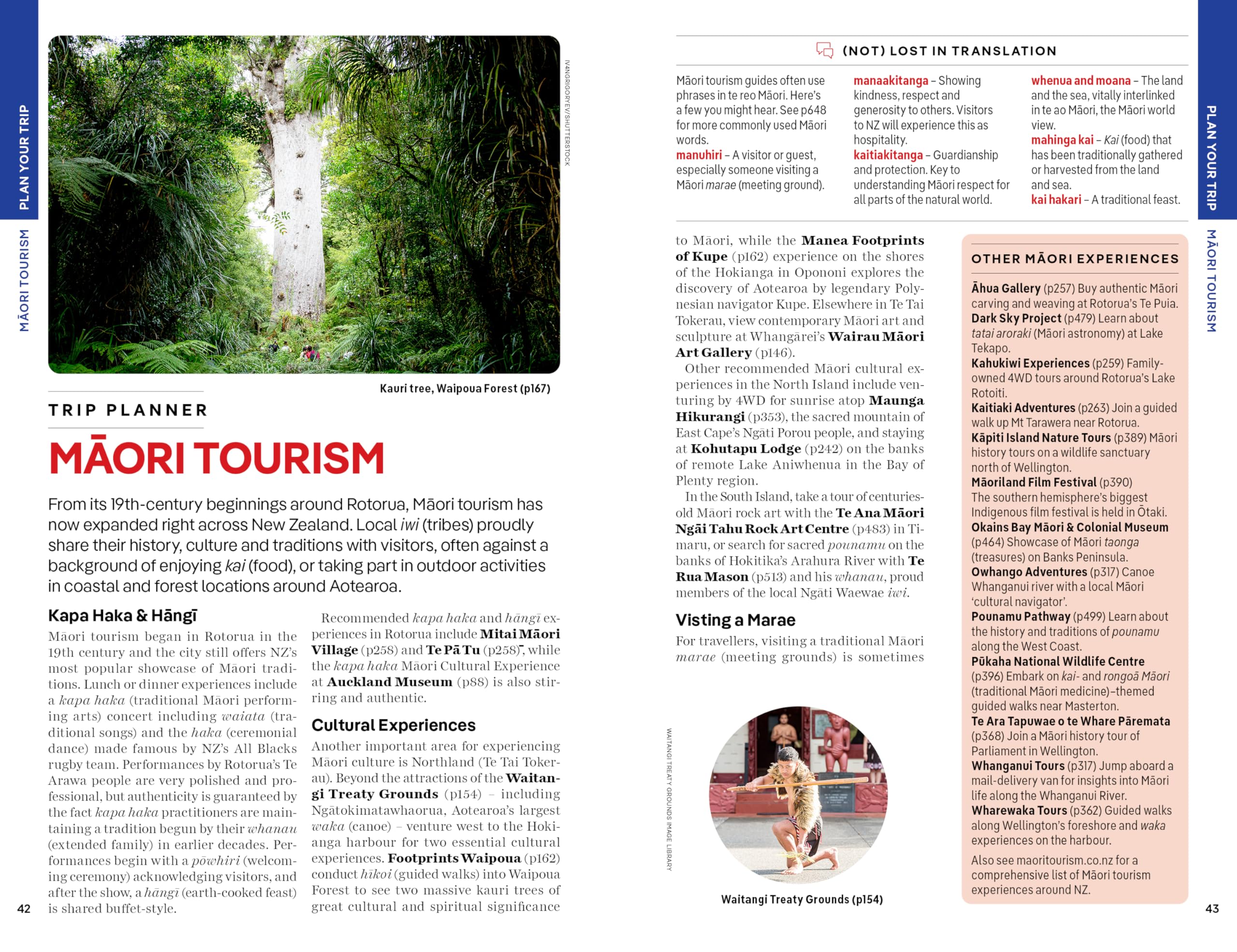 New Zealand (Aotearoa) 22ed -anglais-: 2025 - 2026 Travel Guide | Plan the Trip of a Lifetime | Detailed Itineraries & Maps | Insider Tips | Covers Auckland, Queenstown, Wellington, Taranaki and more