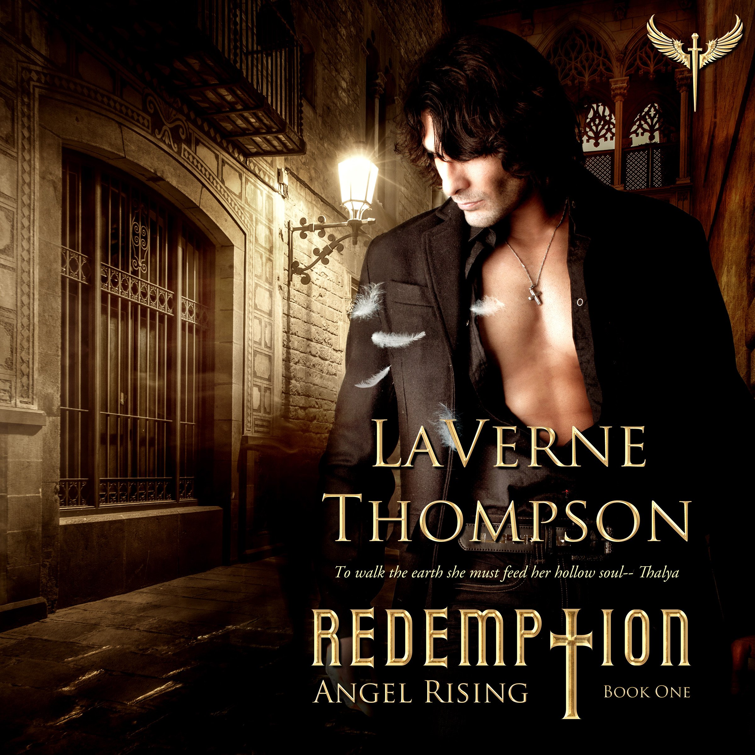 Cover art for Angel Rising