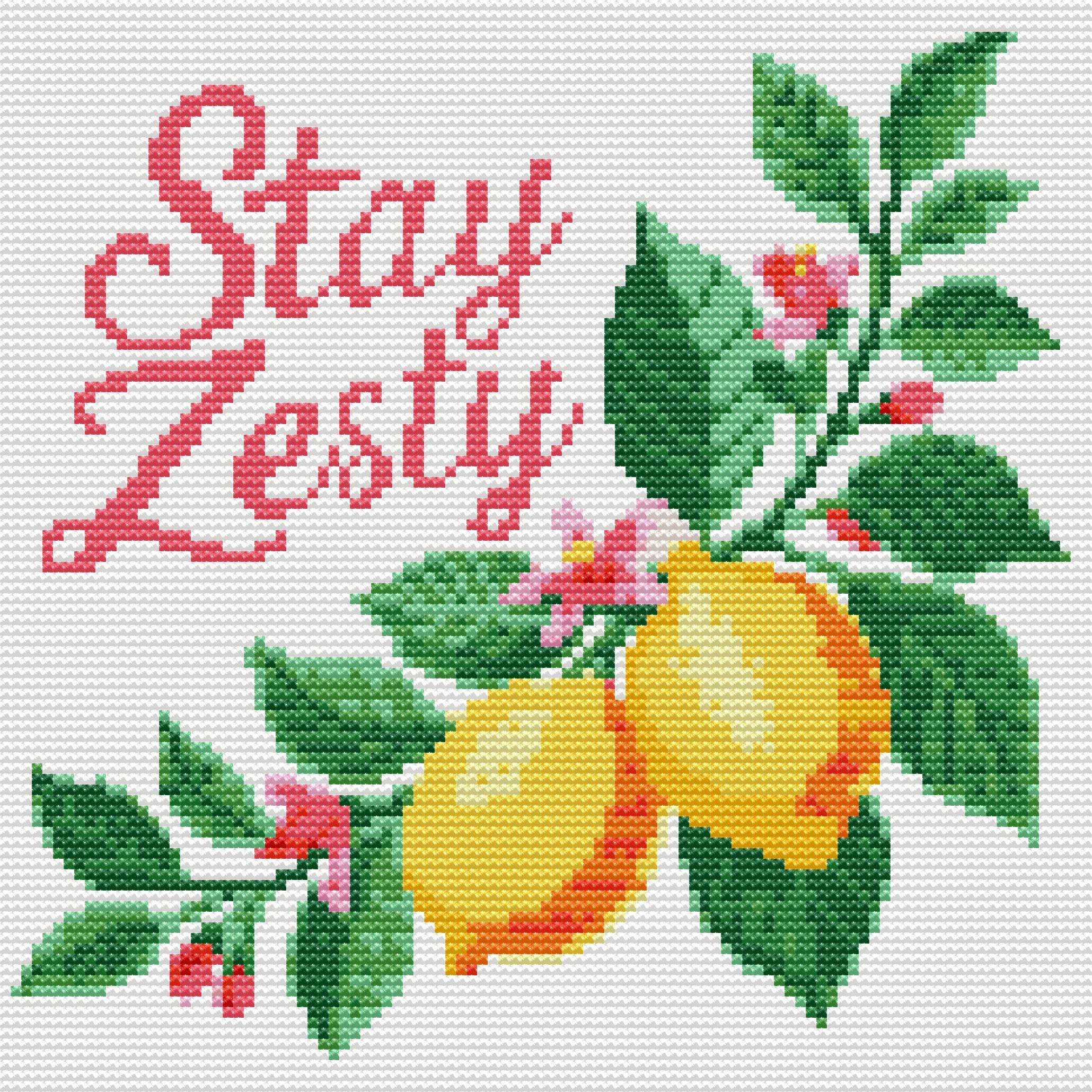 HKLIOPU Cross Stitch Kits for Adults-Lemon,11CT Printed Cross Stitch Kits,Stamped Embroidery Kits for Adults Wall Art Home Decoration 12x12Inch โ image 1