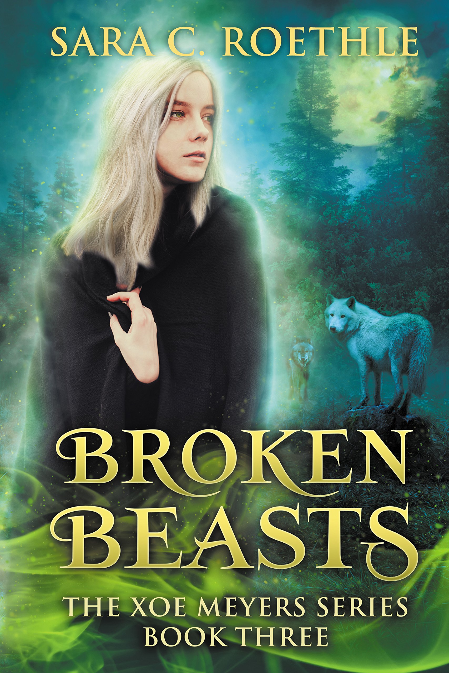 Cover of Broken Beasts