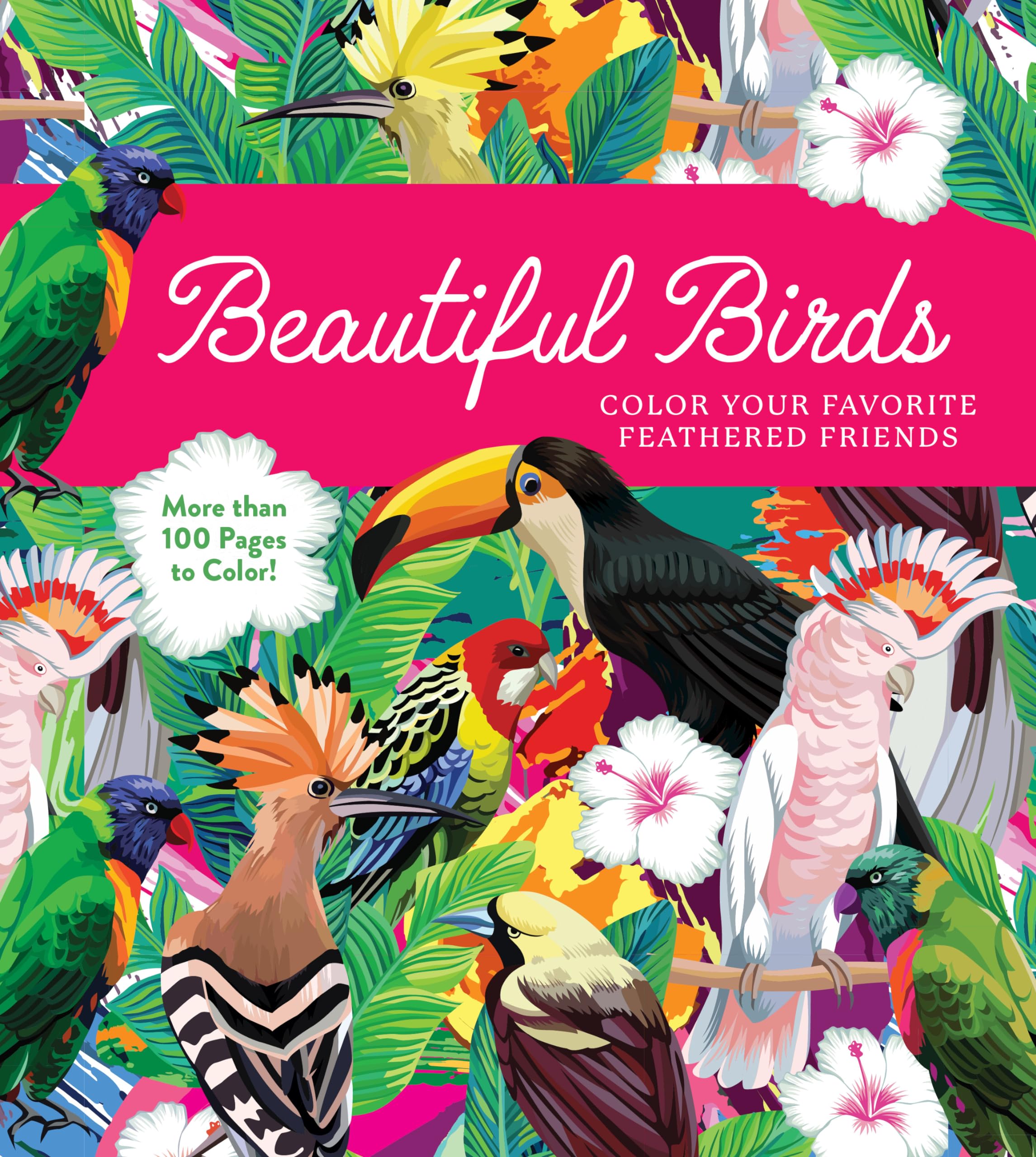 Beautiful Birds : Color Your Favorite Feathered Friends - More than 100 Pages to Color!