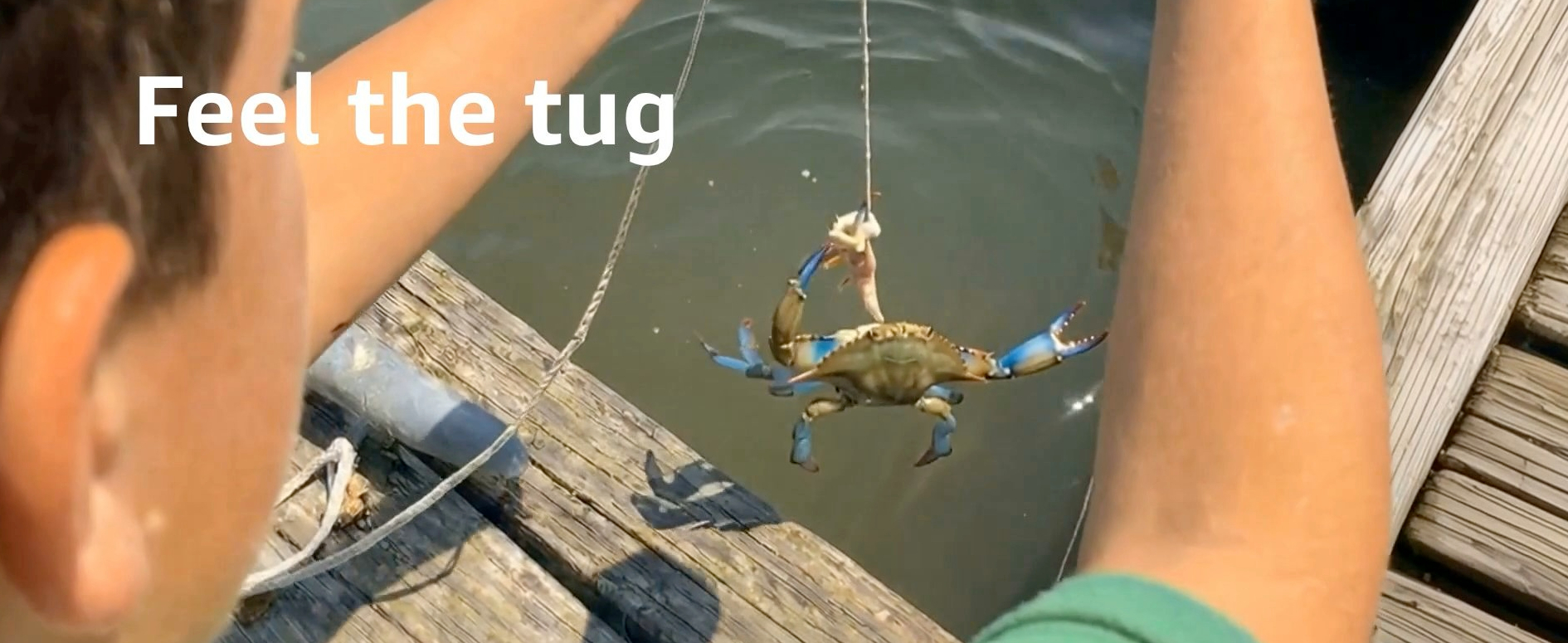 blue crab pole and line fishing Amazon.com : Airfly Blue Crab Throw Line - 30ft Cotton Hand Line with  Bait-Lock Pin and Sinker - Chicken Necking Drop Line for Pier, Dock and  Bridge