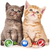 A Video Call From Pet Cat - Free Fake Phone Call