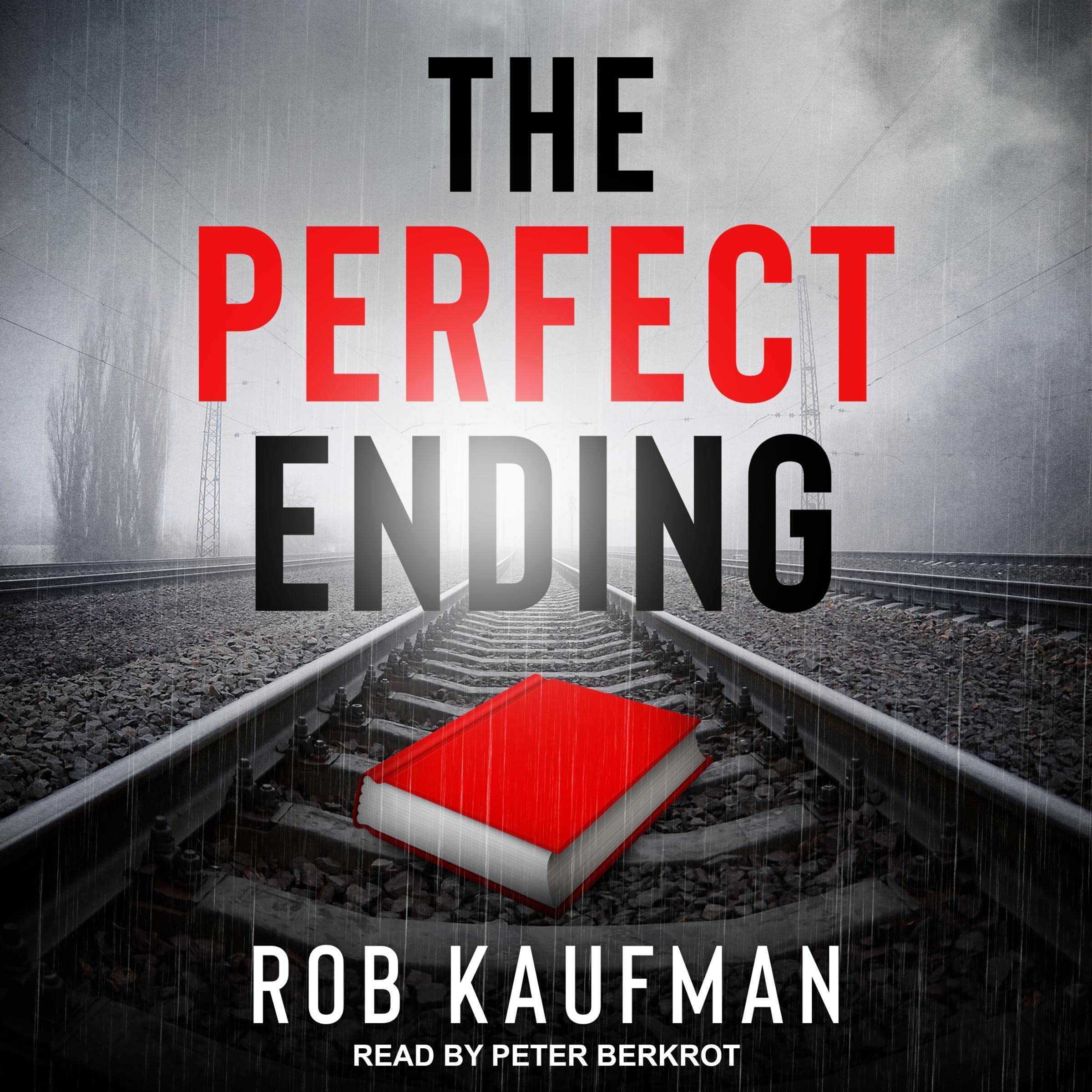 Cover art for The Perfect Ending