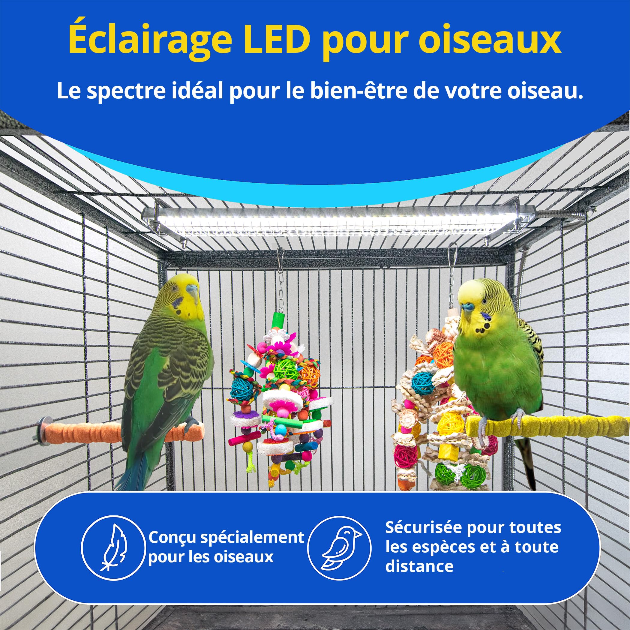 Lampe pour Cage à Oiseaux HappyBird Lighting avec Protection Anti-Morsure – Lampe LED Plein Spectre pour Animaux – Sécurisée pour Les Oiseaux à Crochet – Facile à Installer