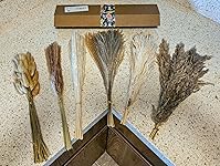 Review Image by L. Kozak L. Kozak