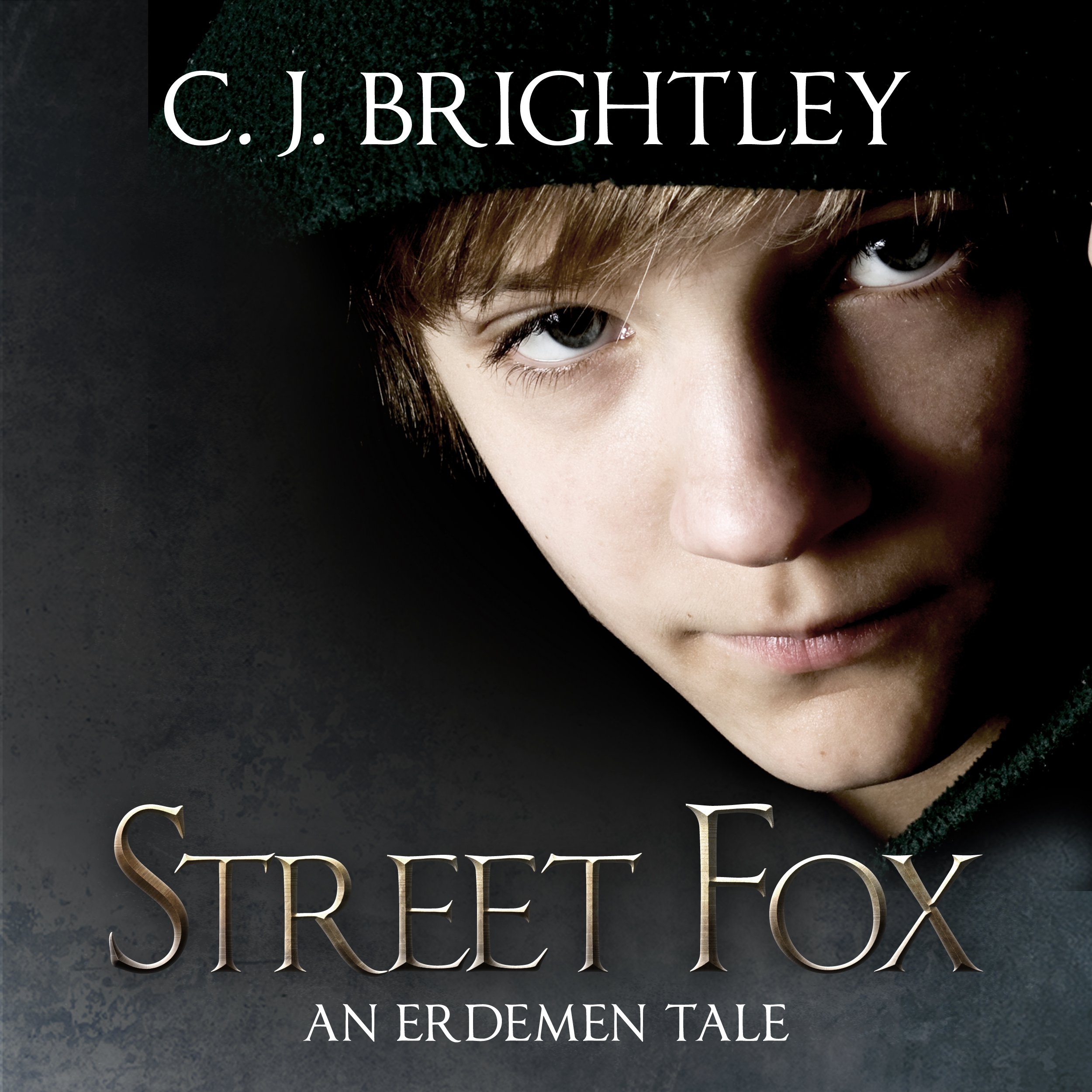 Cover art for Street Fox