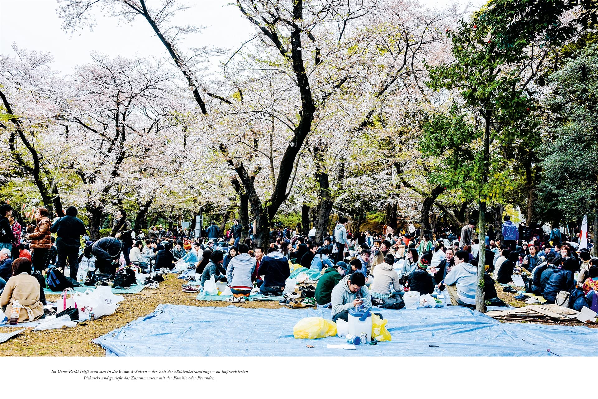 Tokyo. Eine Augenreise: Der Geschenk-Bildband mit außergewöhnlicher Bildsprache (Augenreisen)