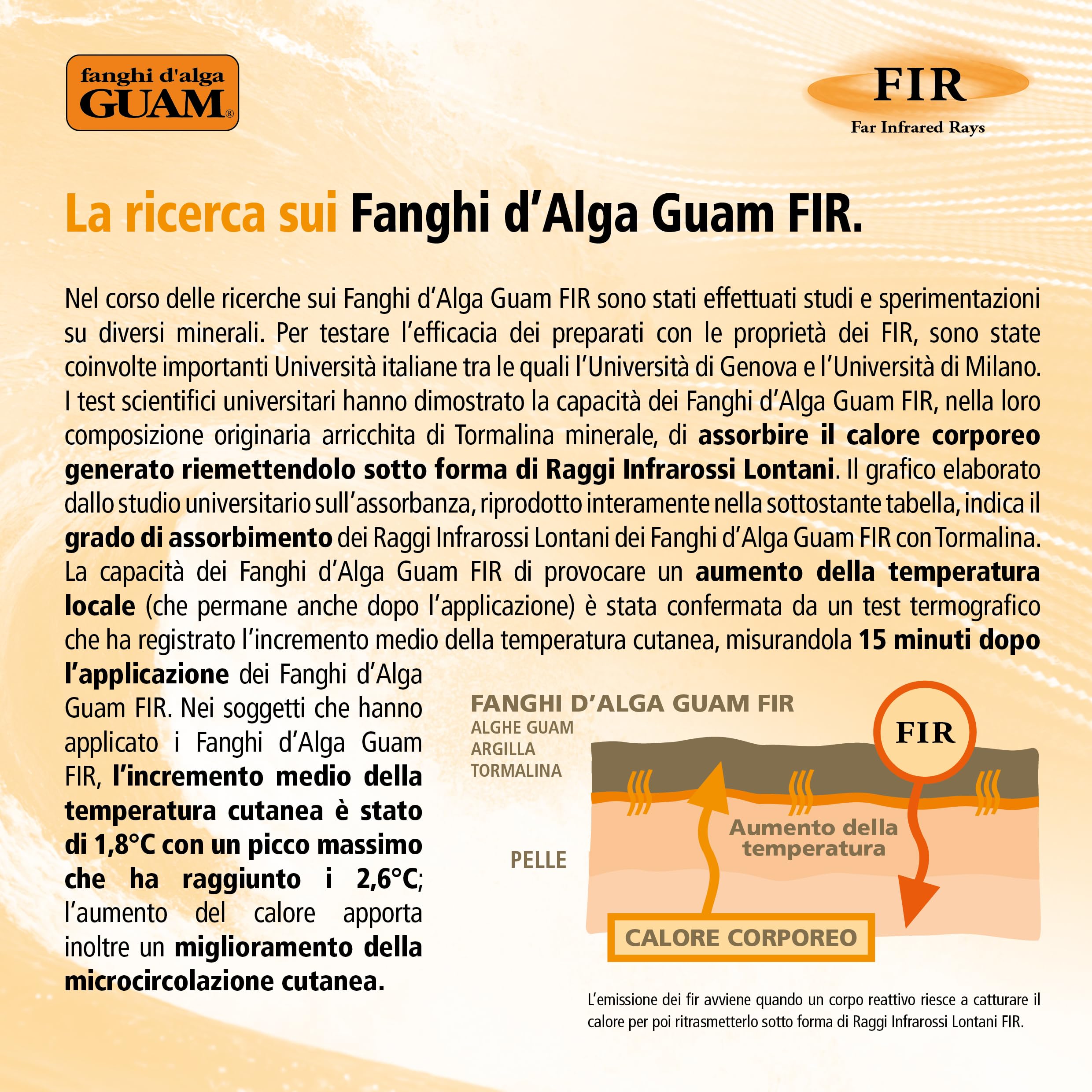 Guam Fir Fango Pancia e Girovita 1 kg