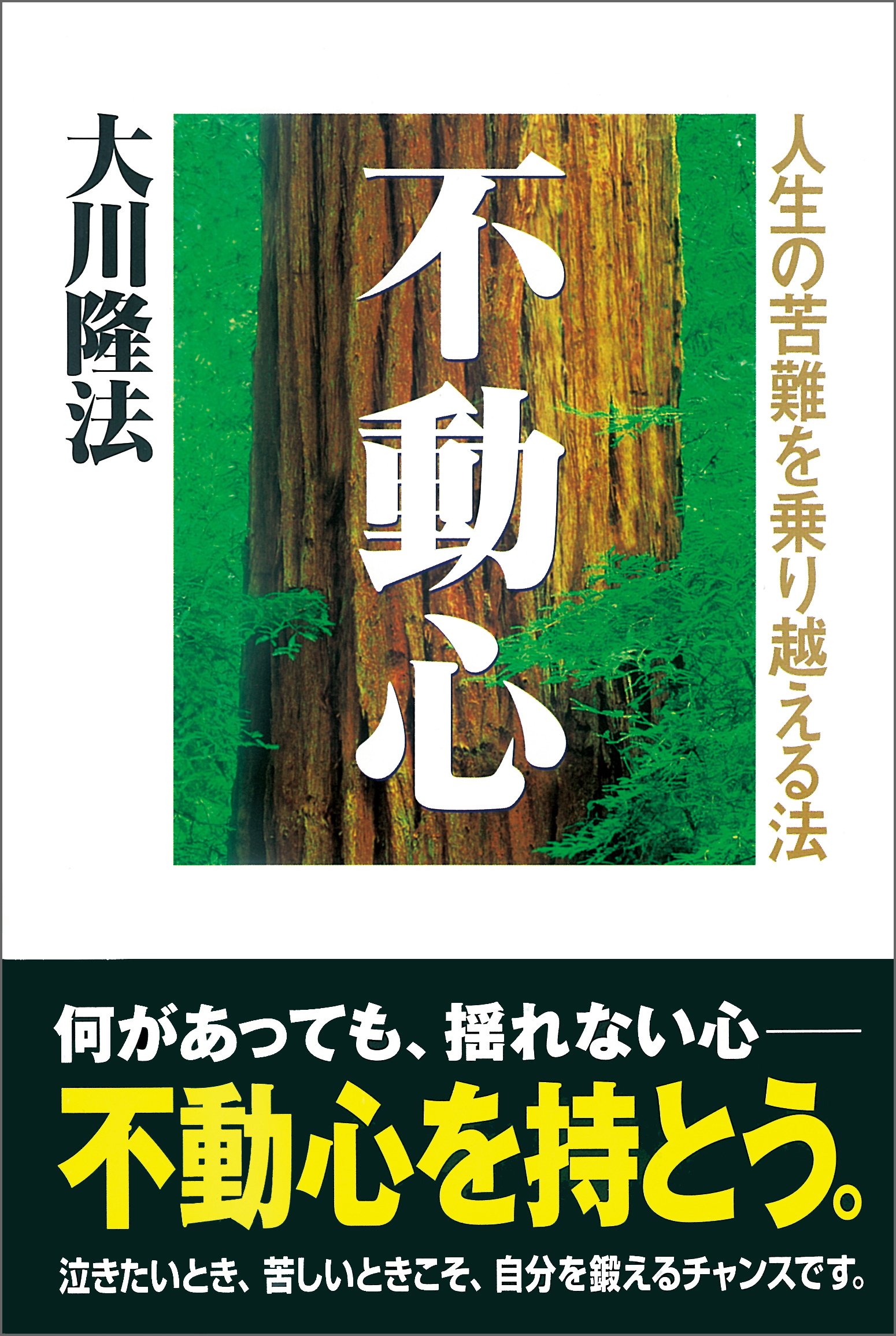 Amazon.co.jp: 大川 隆法: 本、バイオグラフィー、最新アップデート