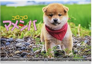 トライエックス コロコロマメシバ 2020年 カレンダー CL-391 壁掛け