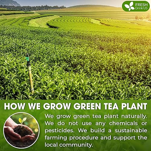 Miniatura 5 de FreshDrinkUS, Matcha de lujo de grado ceremonial de 1.5 onzas  Polvo de té verde japonés premium  Hojas cultivadas en sombra molidas en piedra  rico