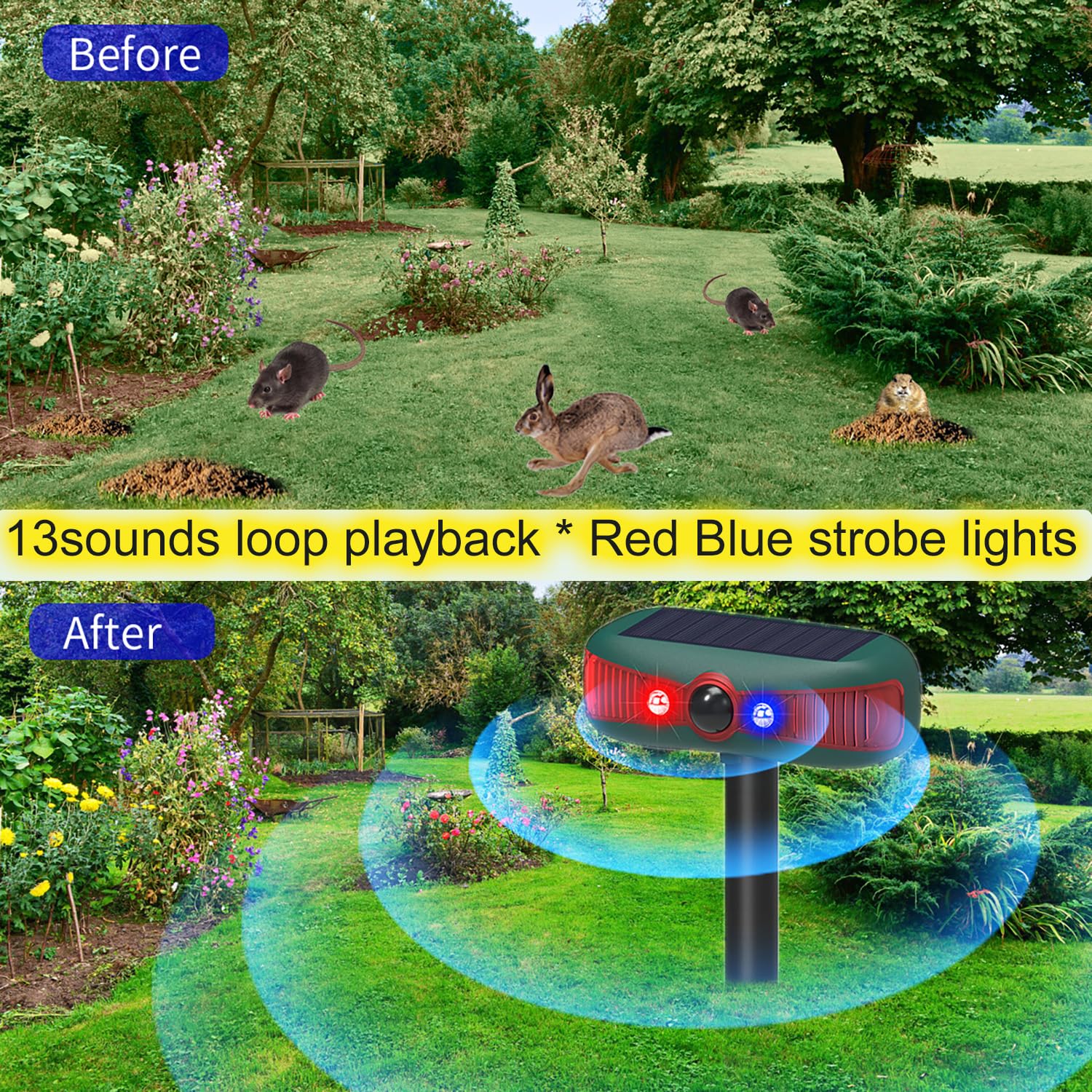 Lot de 2 détecteurs solaires stroboscopiques infrarouges avec détecteur de mouvement, lumière d'avertissement KINGCOO clignotante pour extérieur, système d'alerte de sécurité à 13 sons, double