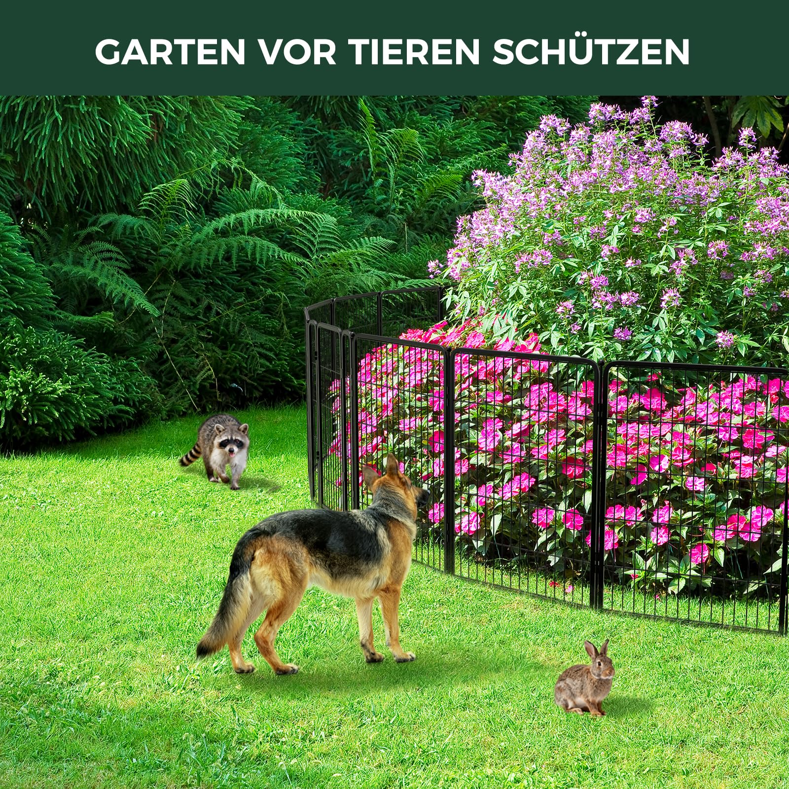 FXW No-Dig Gartenzaun für Hunde, 100 cm x 5,6 m, 8-teilig | Robuste Metallbarriere, Hundefreundlicher Garten, Schutz für Blumenbeete, Flexible Form, Dekorativ