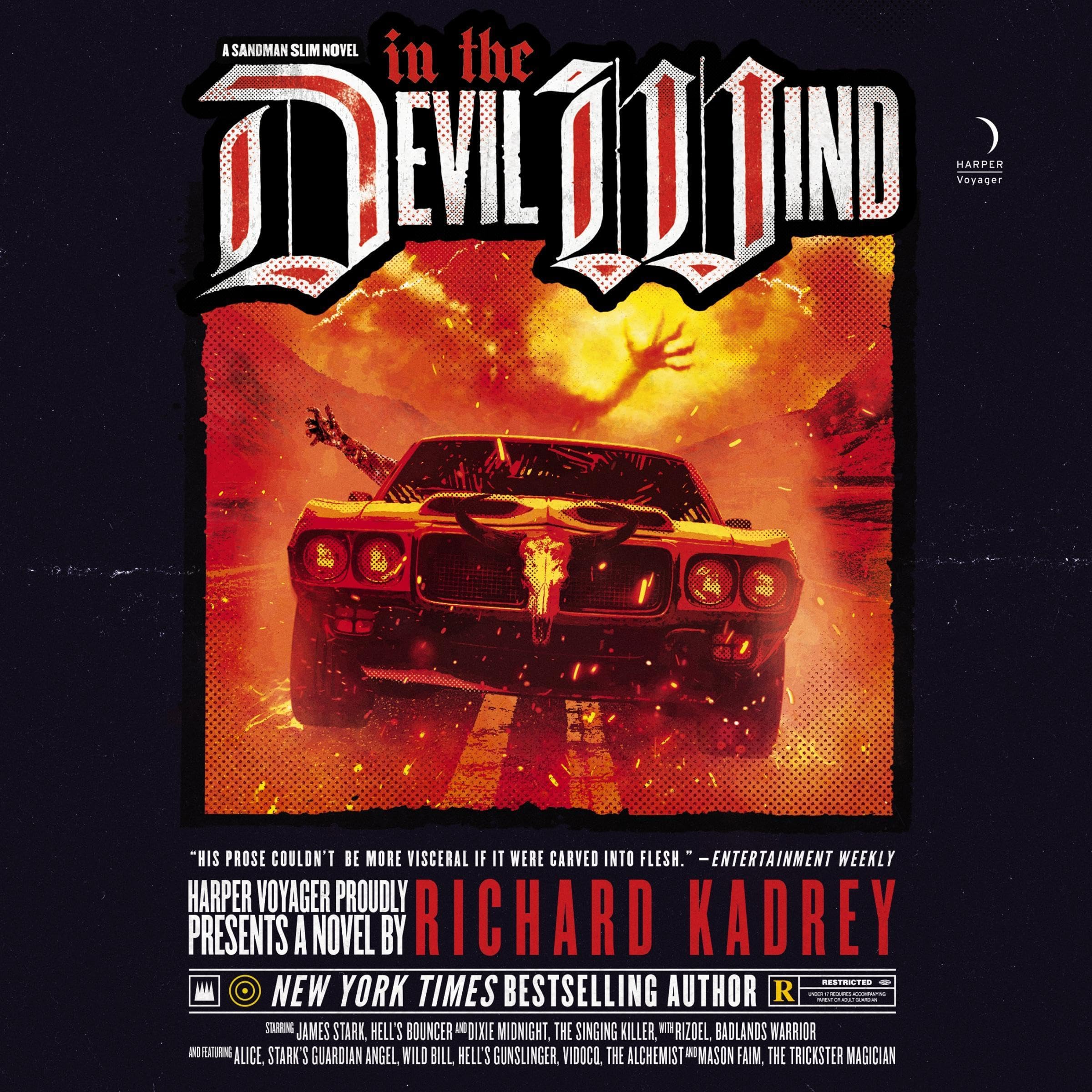 Cover art for In the Devil Wind