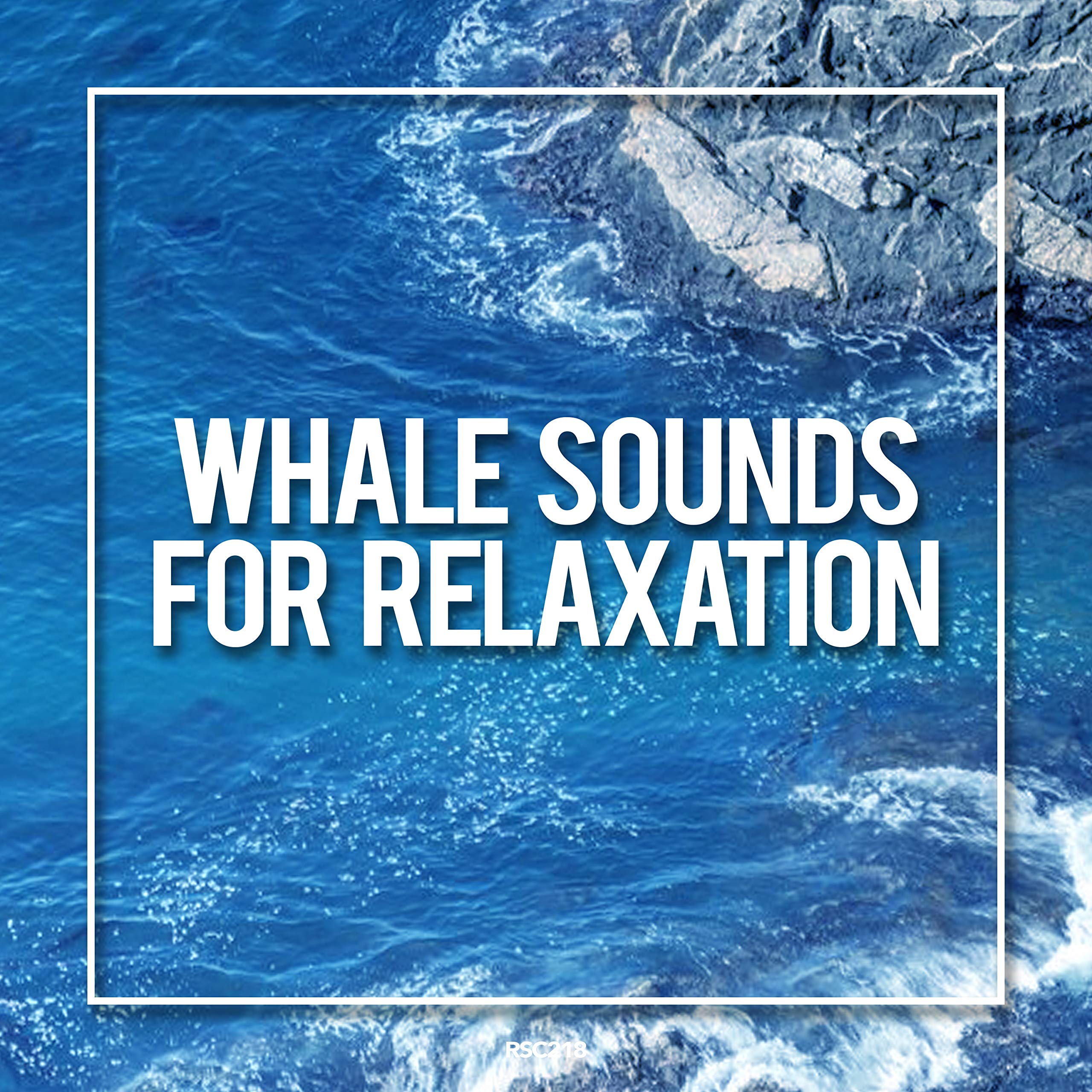 Whale Sounds For Relaxation