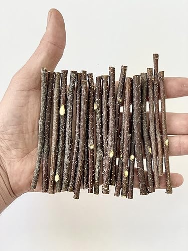 Miniatura 9 de Mini troncos de madera de 5.29 oz en paquete - Palitos de madera originales para manualidades, relleno de jarrón, tronco de madera pequeño de