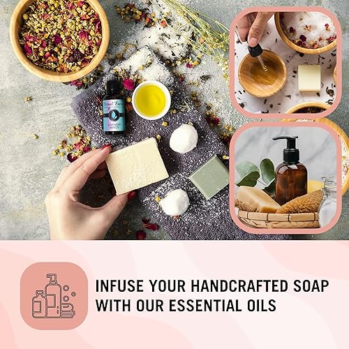 Miniatura 482 de Eternal Essence Oils 2 Pack 10ml Aceite de Fragancia Premium - Paseo de Verano & Cóctel de Dulces - para Vela, Fabricación de Jabón, Aromaterapia,