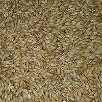 Vista 2 de Malta de grano entero para elaboración en casa, de 2-Row Brewers 10 libras.