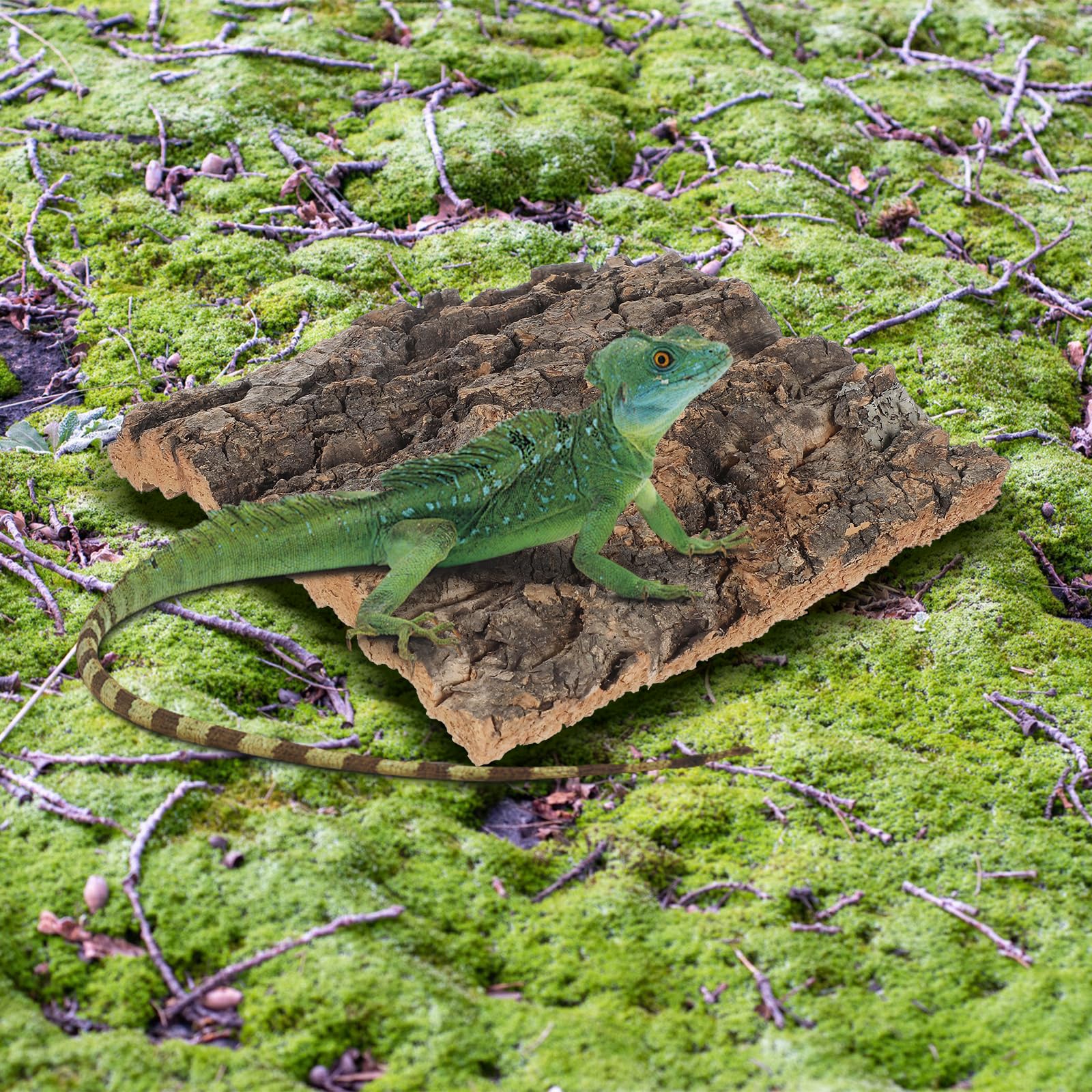 Homoyoyo Cork Bark Background: 4PCs Reptile Bark for Reptile Enclosure Fish Tank Decor, Gecko, Lizard - Image 2