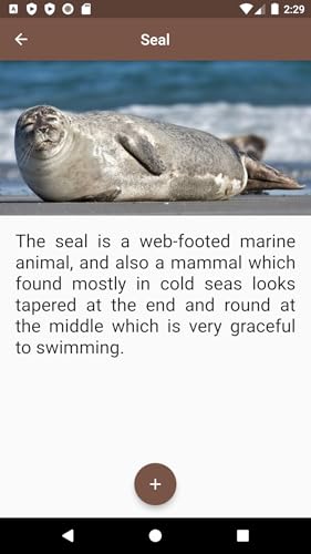 Sea Animals SA