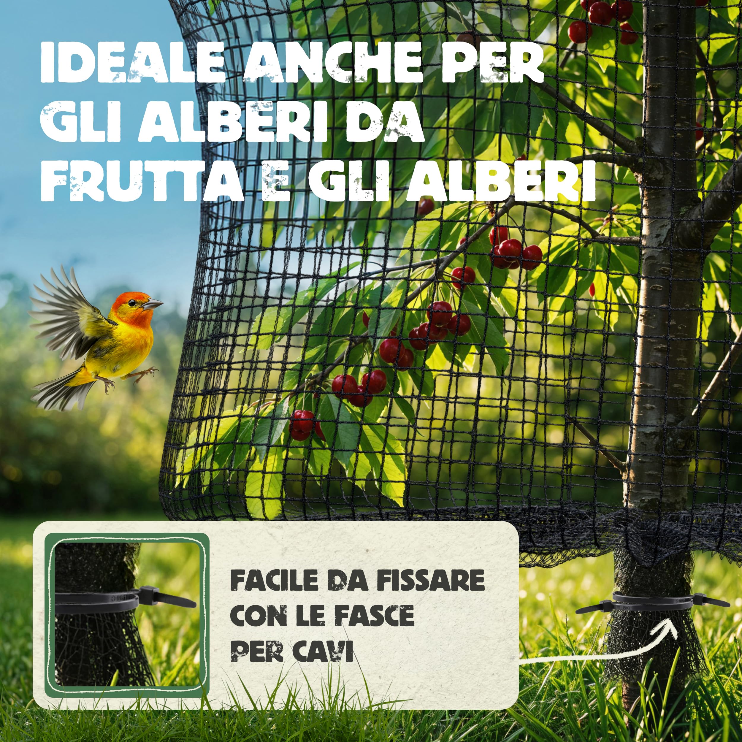 LAINFELD Rete per laghetto a maglia fine, 2 x 5 m, resistente alle intemperie e ai raggi UV, a maglia fine per uccelli, per balsamo, contro piccioni e aironi