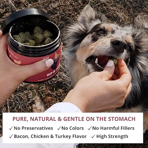 Miniatura 4 de Suplemento de cadera y articulaciones para perros, mejillones de labios verdes, colágeno, cúrcuma, MSM + glucosamina para perros cadera y