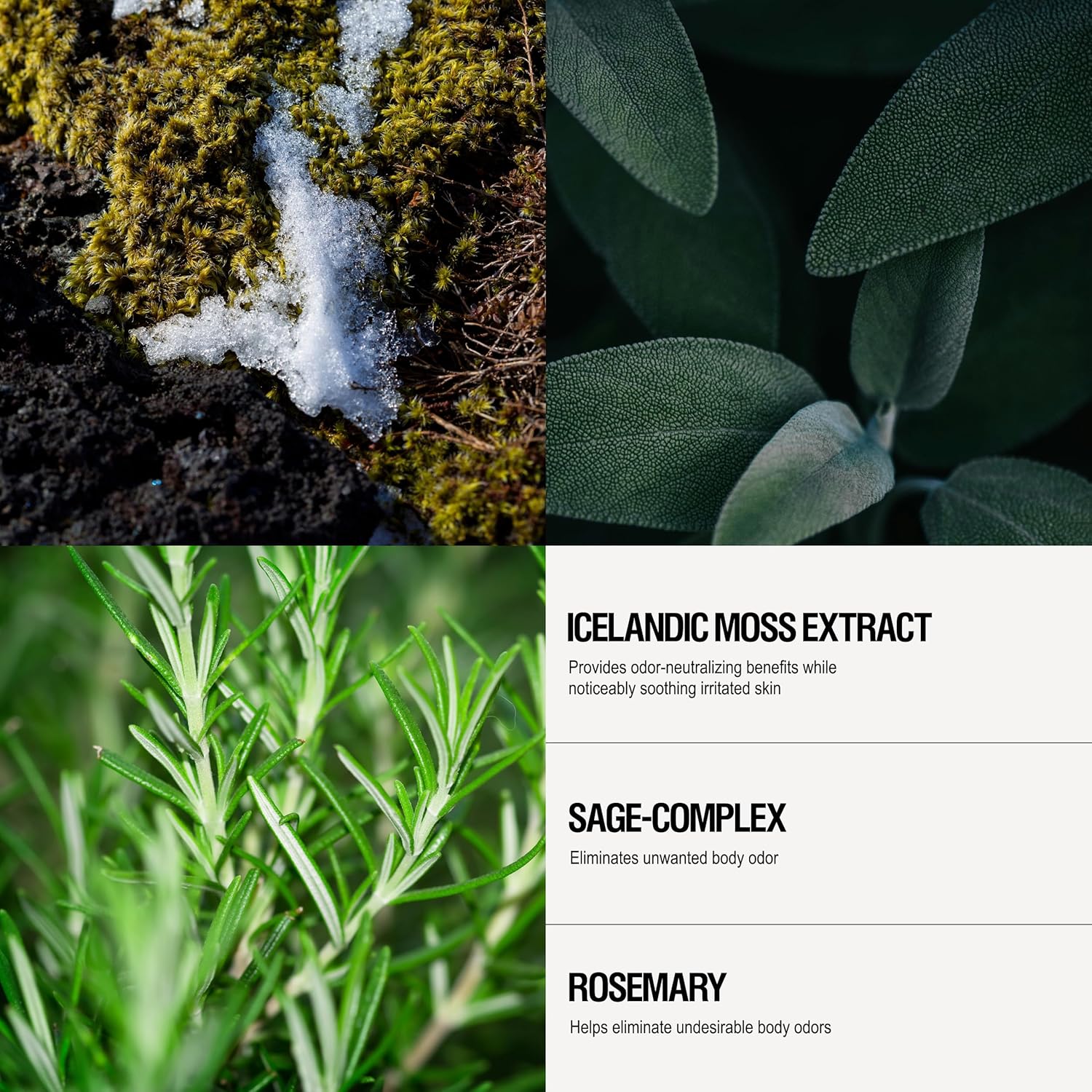 Grown Alchemist Roll-On Deodorant, Natural Aluminum Free, Icelandic Moss Extract & Sage Complex, 1.69 Ounce (50ml) - Image 3