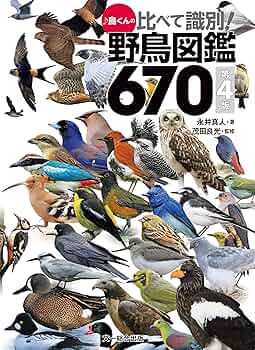 91VOvaN55kL._AC_UF350,