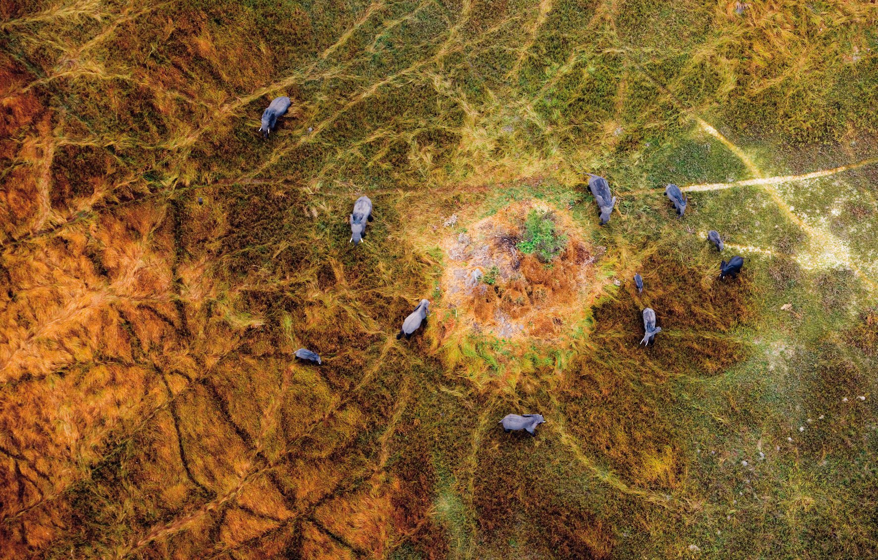 Best of Eyes over Africa: Afrika aus der Vogelperspektive (Photographer) [Idioma Inglés]