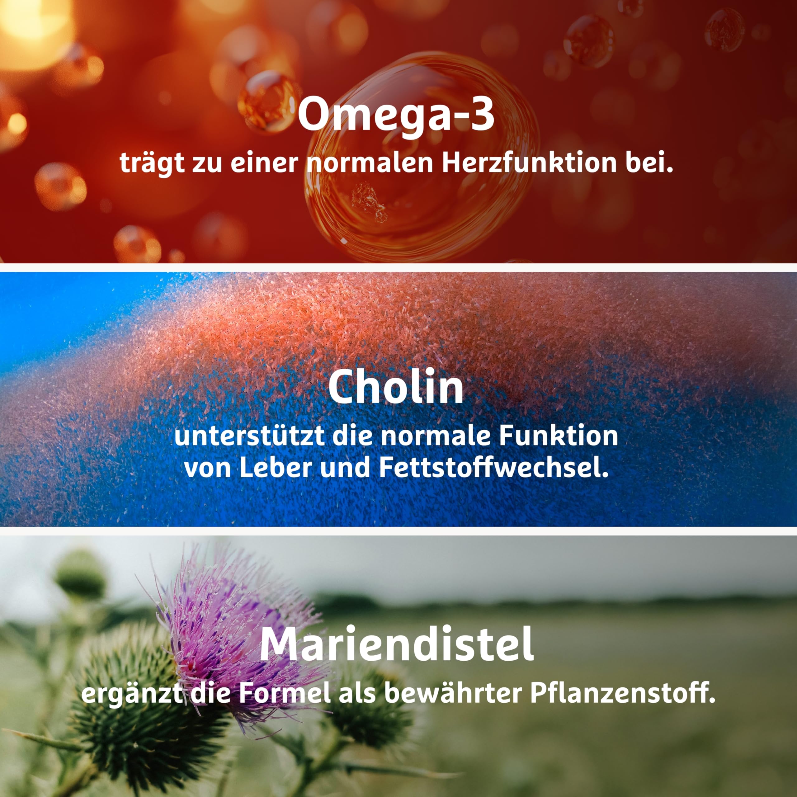 Natürliche Formel mit Omega-3 (EPA/DHA) & Cholin aus Krillöl für Herzfunktion, Leberfunktion und Fettstoffwechsel*- ergänzt mit Mariendistel, Nahrungsergänzungsmittel | 180 Kapseln