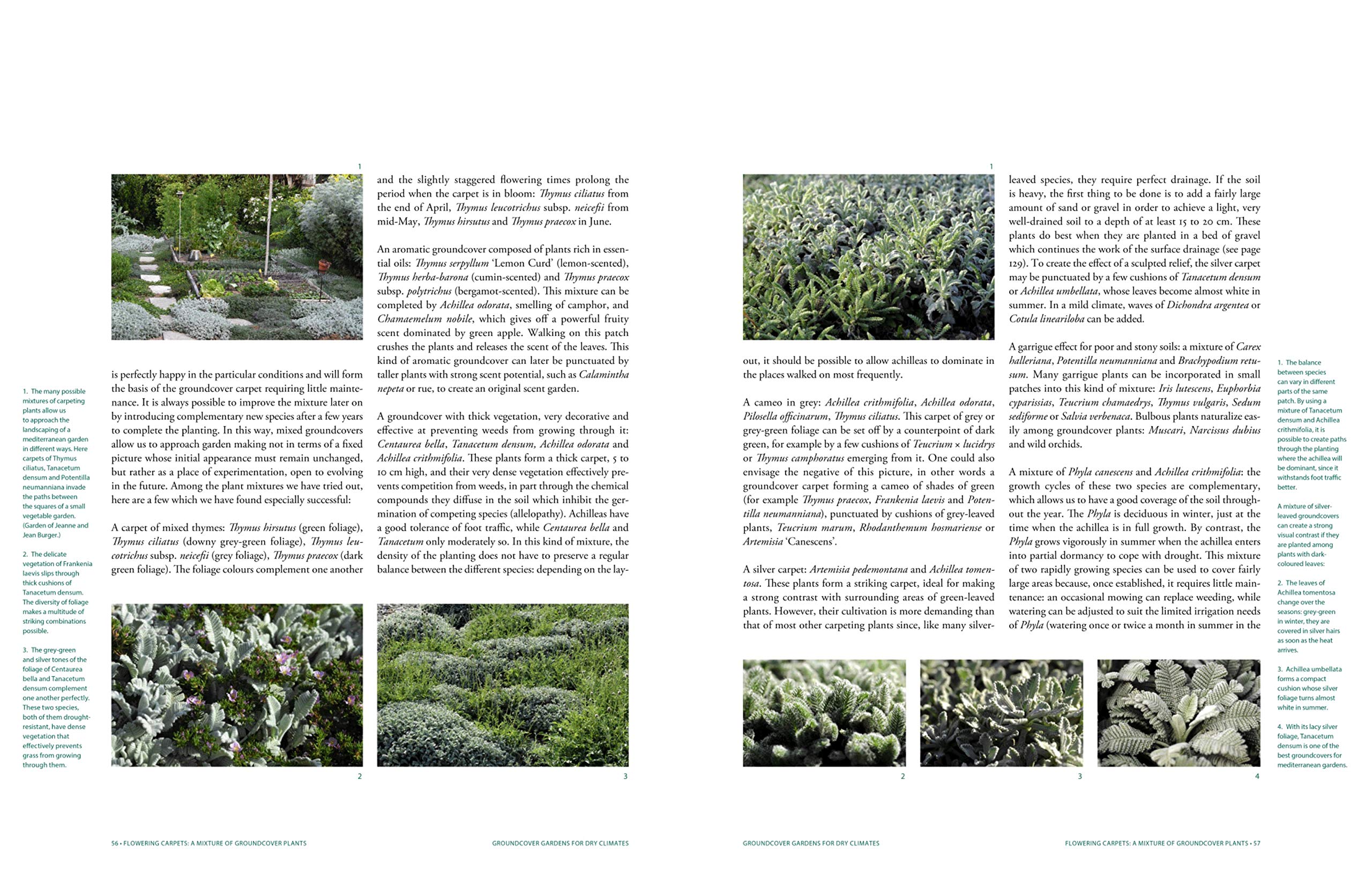 Planting Design for Dry Gardens: Beautiful, Resilient Groundcovers for Terraces, Paved Areas, Gravel and Other Alternatives to the Lawn