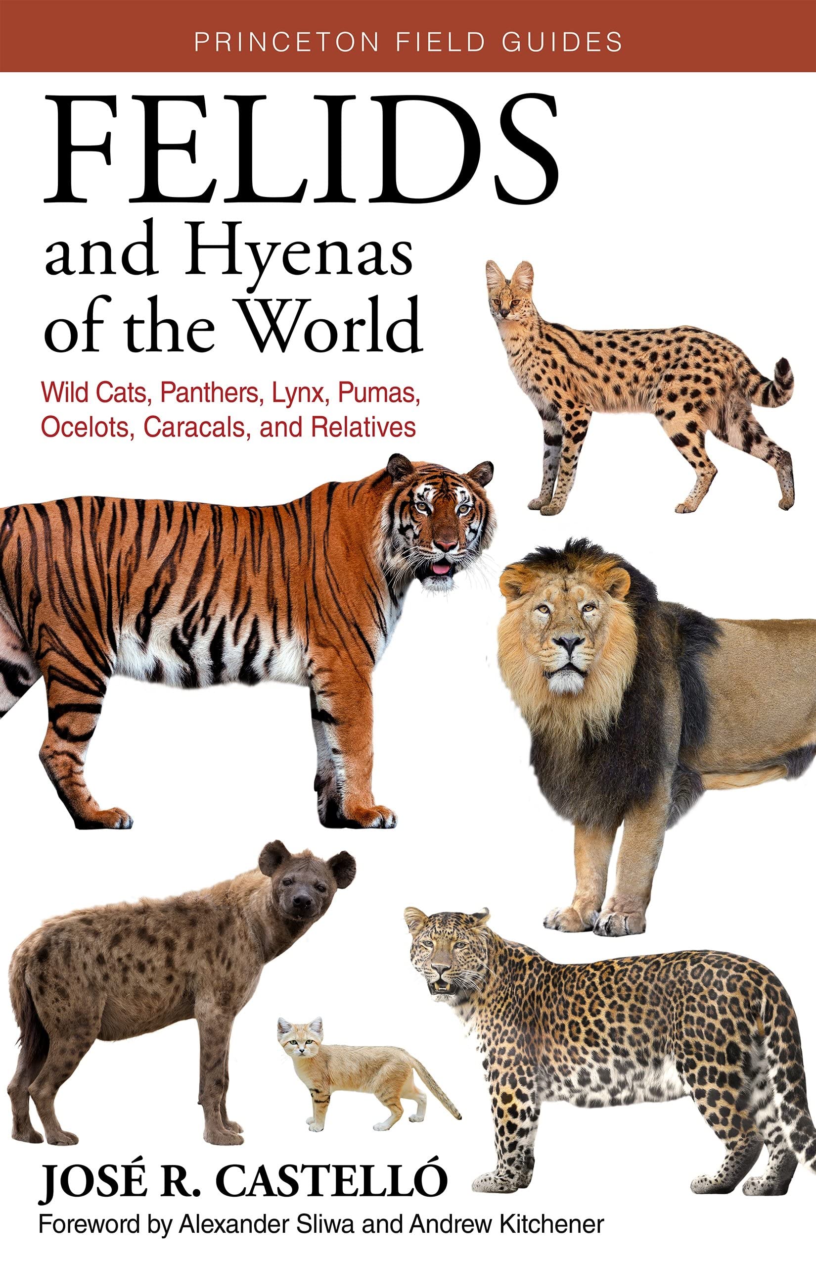 How Many Ocelots Are Left In The World Today