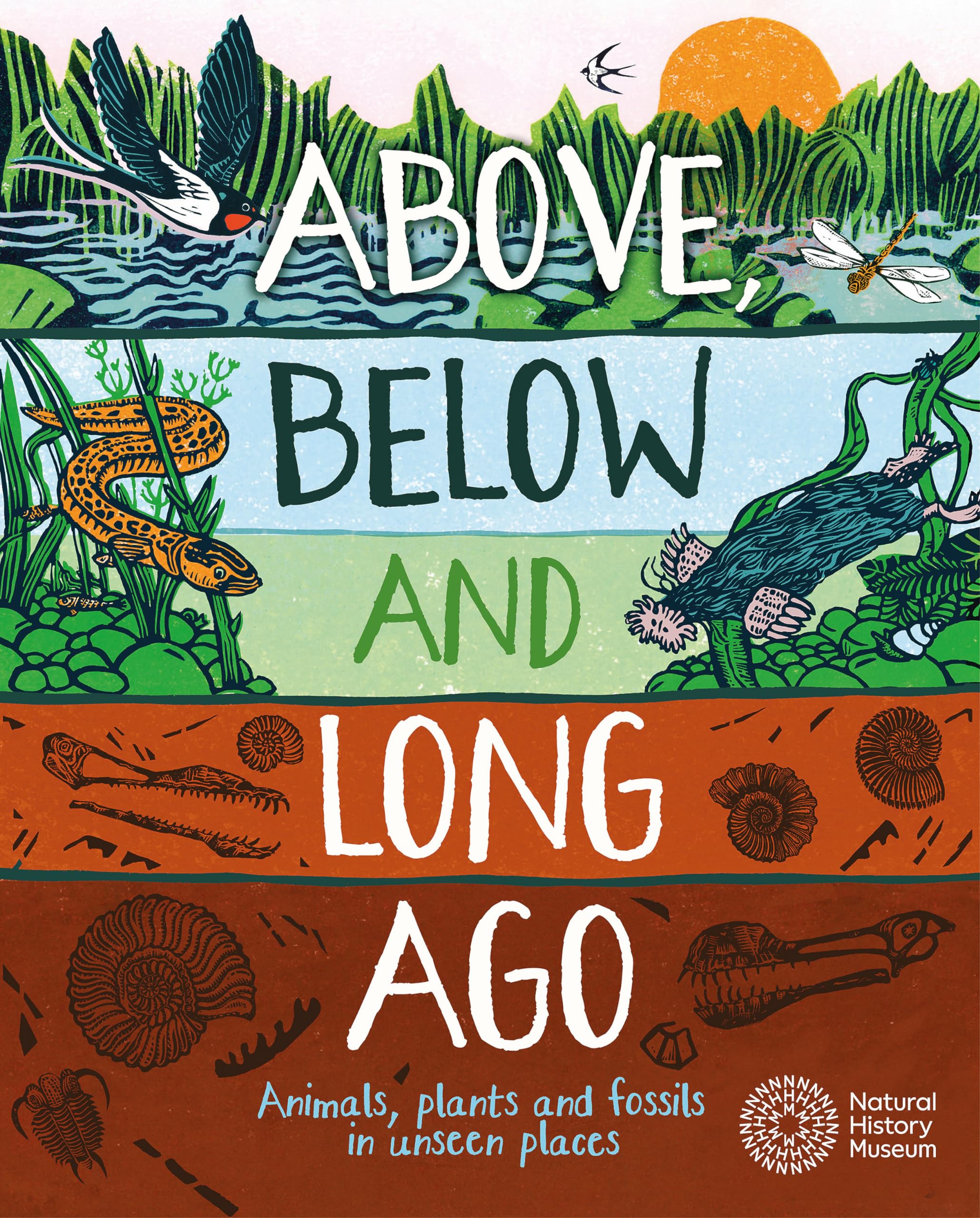 Above, Below and Long Ago by Michael Bright (Paperback Book)