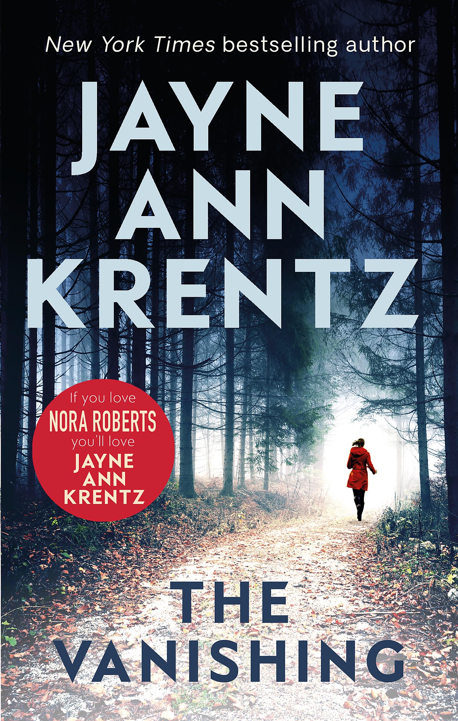 The Vanishing: a gripping new romantic suspense
