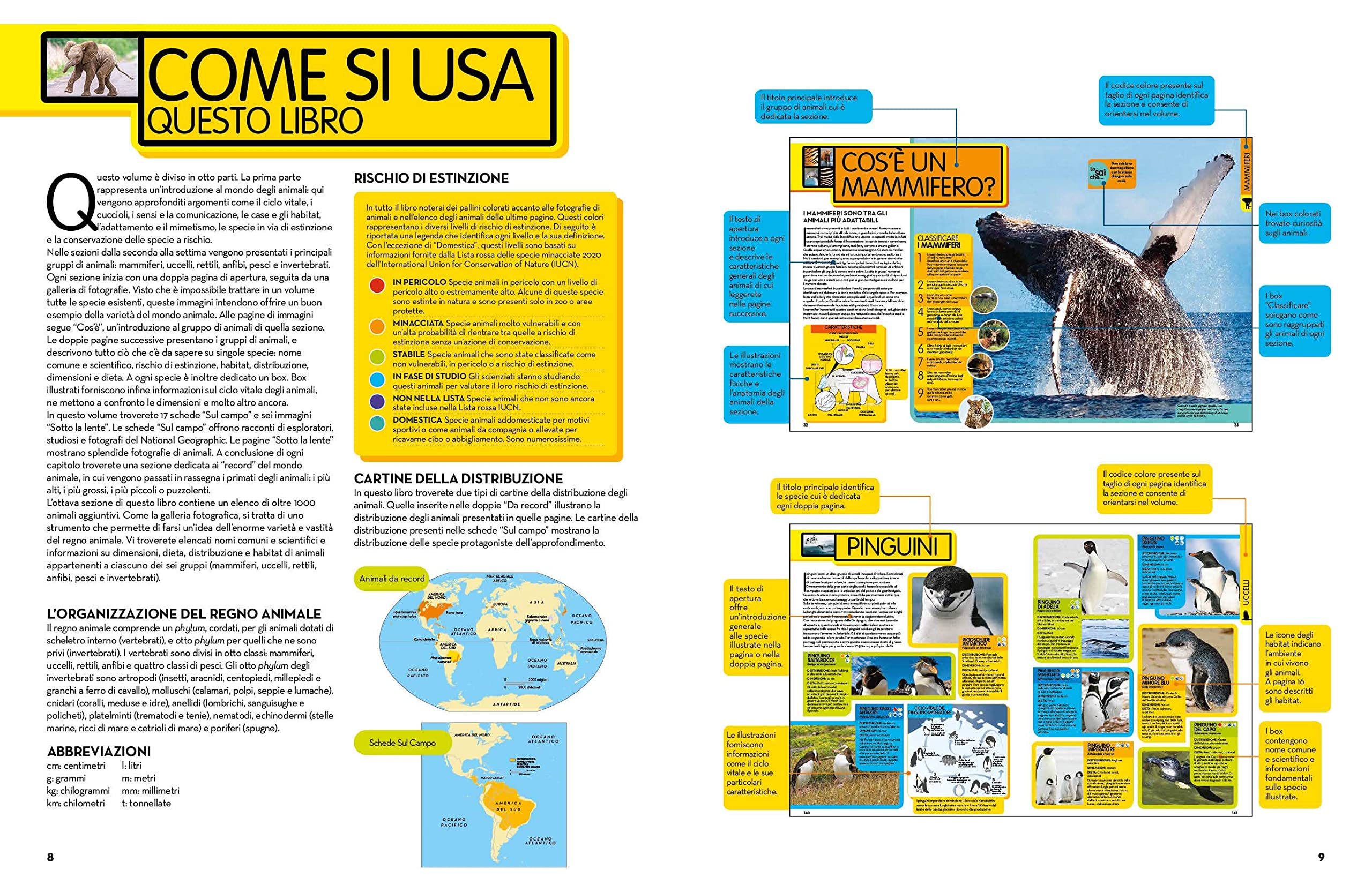 NATIONAL GEOGRAPHIC KIDS - La Grande Enciclopedia Degli Animali | Guida Illustrata per Bambini | Educazione e Divertimento | Scoperta della Fauna