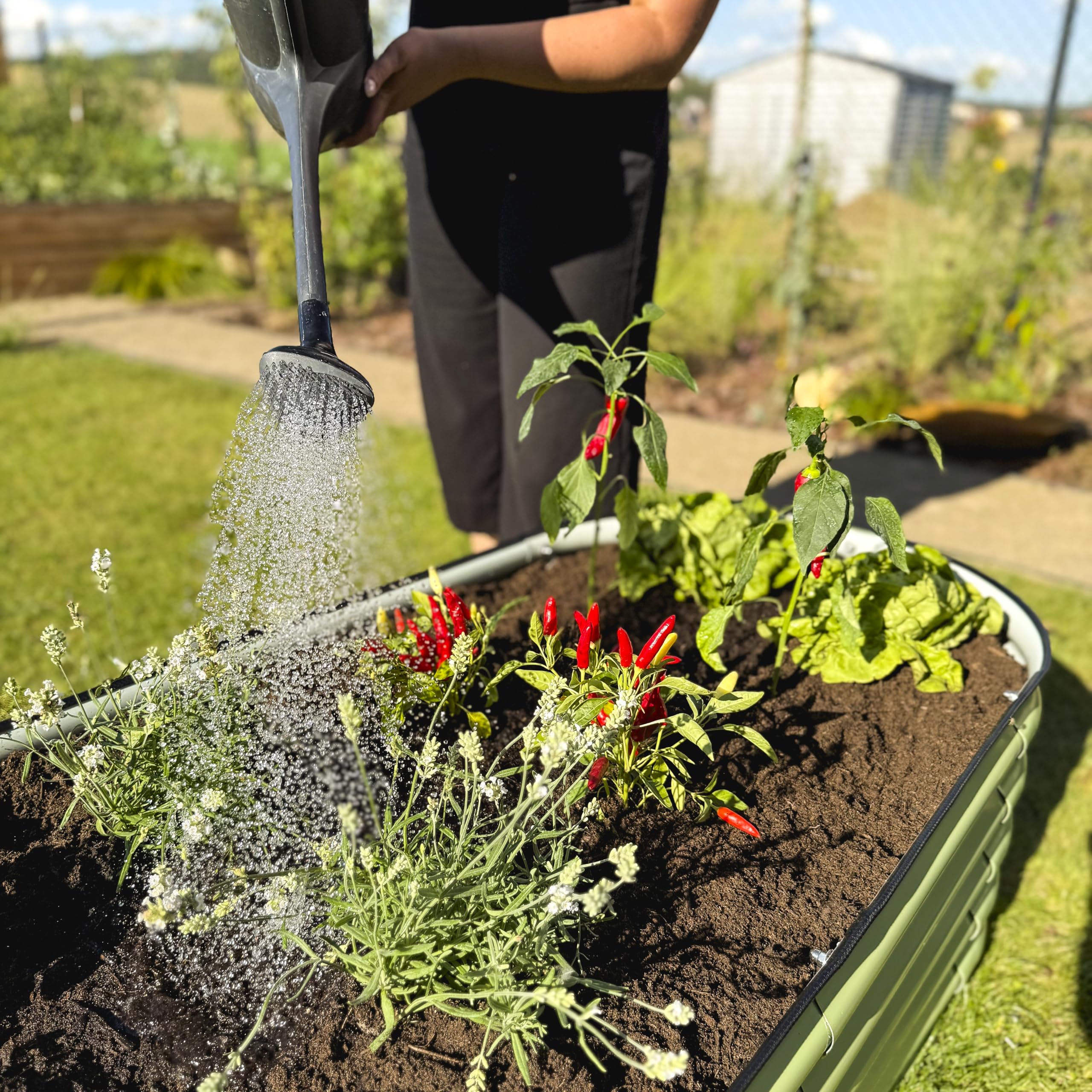 UNIGARDIA Potager Surélevé en Métal 200x60x43 cm - Bac Potager Extérieur Modulaire 6-en-1 - Jardinière Surélevée en Acier Premium, Inoxydable - Durée de Vie Minimum 20 Ans, Vert Sauge