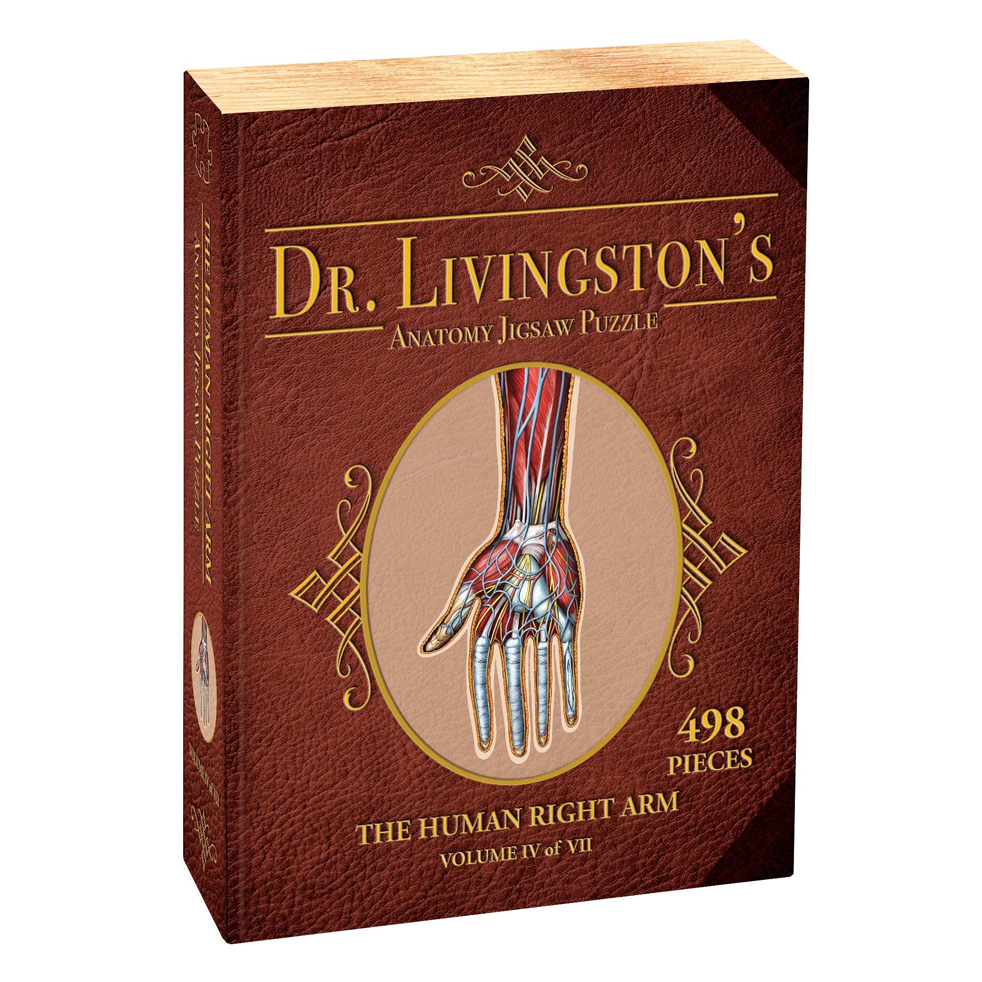 Amazon | 人間の手足解剖学ジグソーパズルバンドル - 人間の腕、脚、手