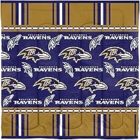 Vista 95 de Northwest NFL Unisex-Adult Bed in a Bag Set