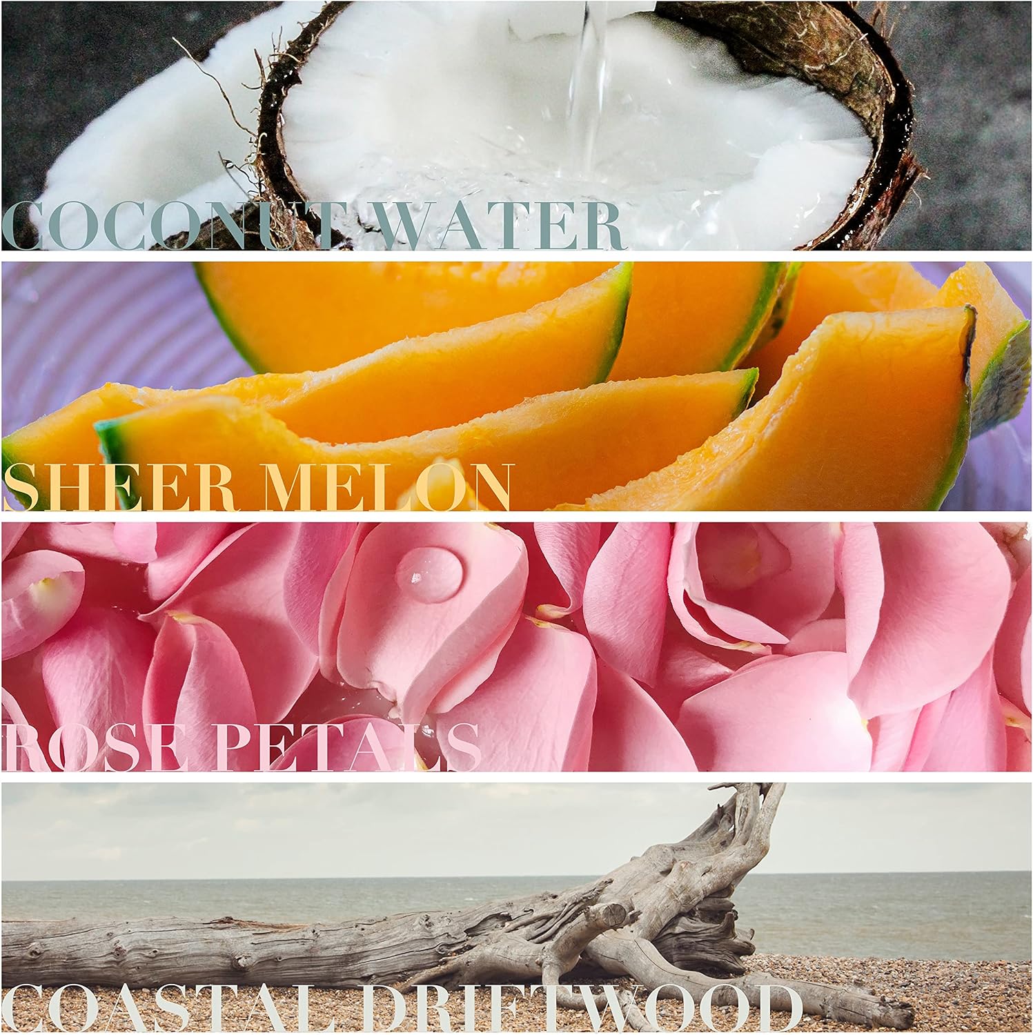 Nautica Candle Scented Candles, Coral Sea Grass Soy Candle