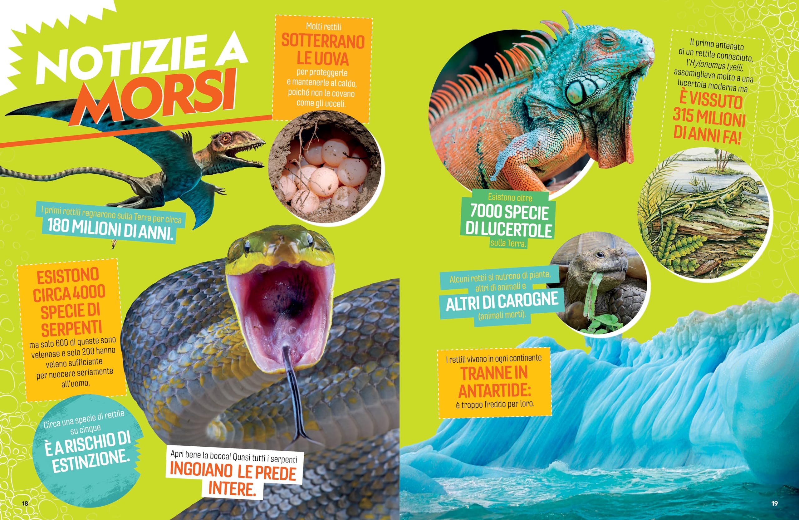 Il grande libro dei rettili. Ediz. a colori