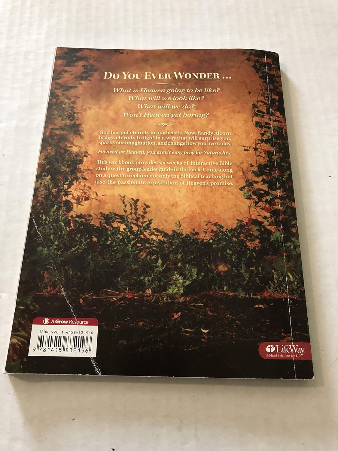 Heaven - Bible Study Book