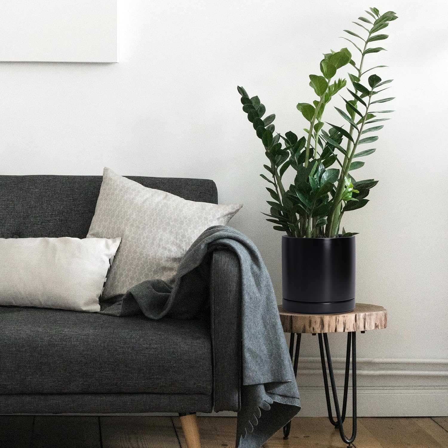 D'vine Dev Set of 2 Plants Pots, 8.2 Inch Ceramic Planter Pot for Plants with Drainage Hole and Saucer, Black, 94-V-D-2