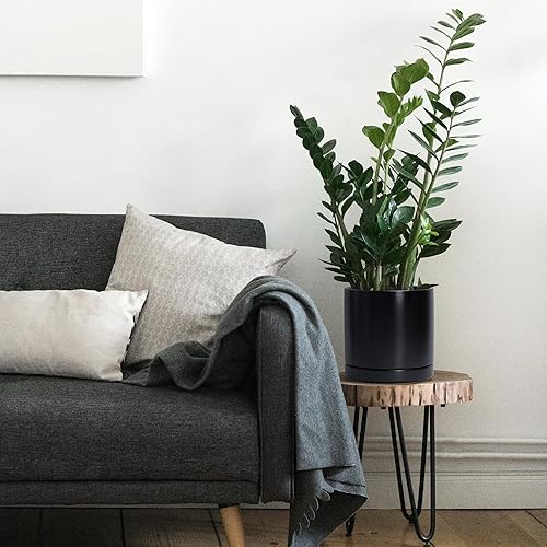 Miniatura 5 de D'vine Dev Juego de 2 macetas de cerámica de 8.2 pulgadas para plantas con orificio de drenaje y platillo, color negro, 94-V-D-2