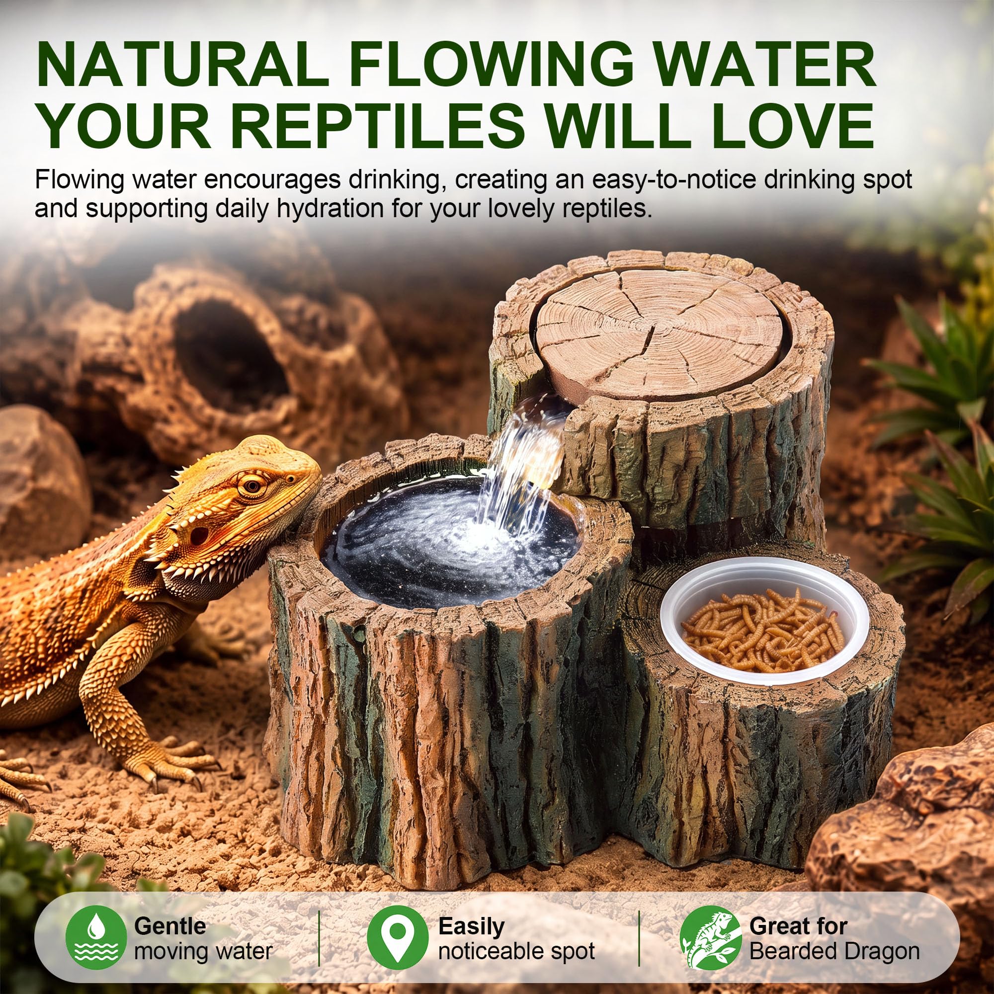 Fuente de agua 2 en 1 para reptiles con plato de comida, 550 ml