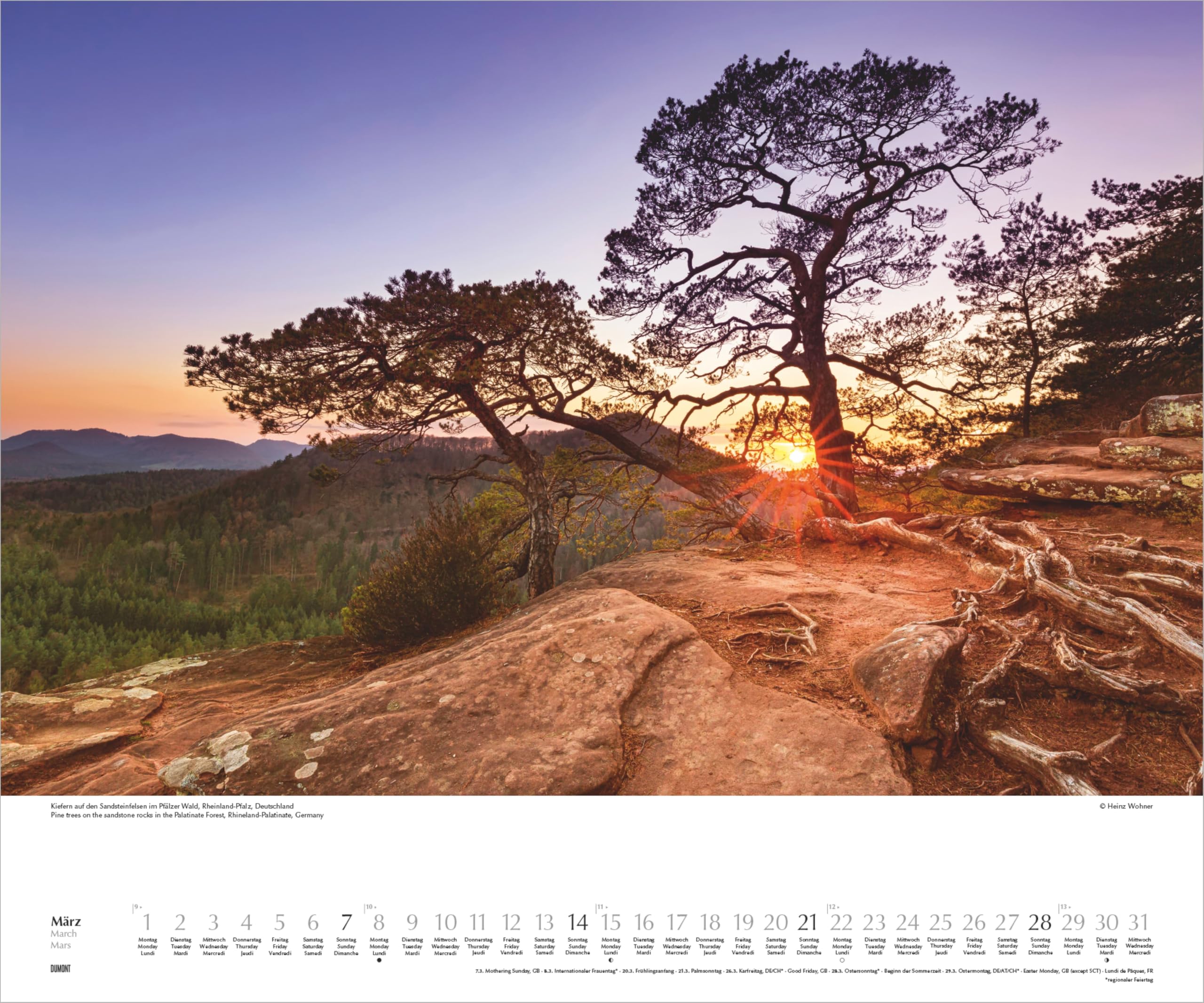 Heimische Bäume 2027: Wandkalender 60x50 cm mit Naturfotografie und 3-sprachigem Kalendarium
