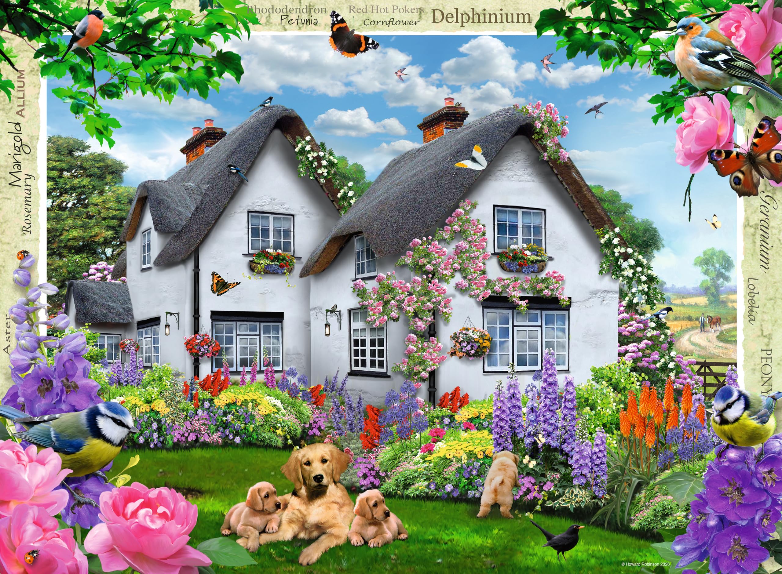 Happy Days No.10 Country Gardens 4x500pc